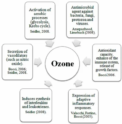 ozone MOA diagram.jpg