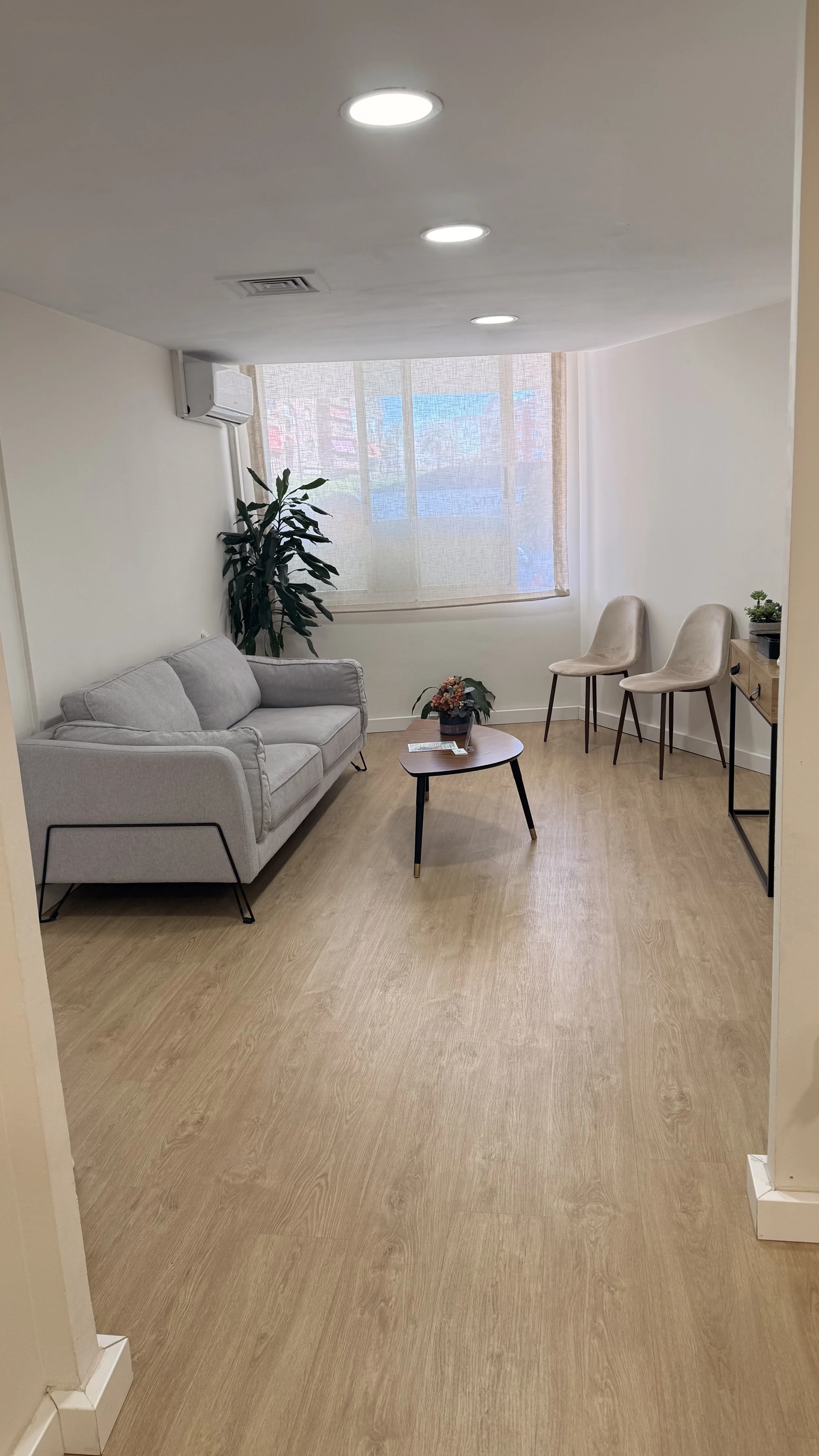 Sala de estar con sofá gris, mesa de color madera, dos sillas beige y una planta grande cerca de la ventana con cortinas de tela ligera.