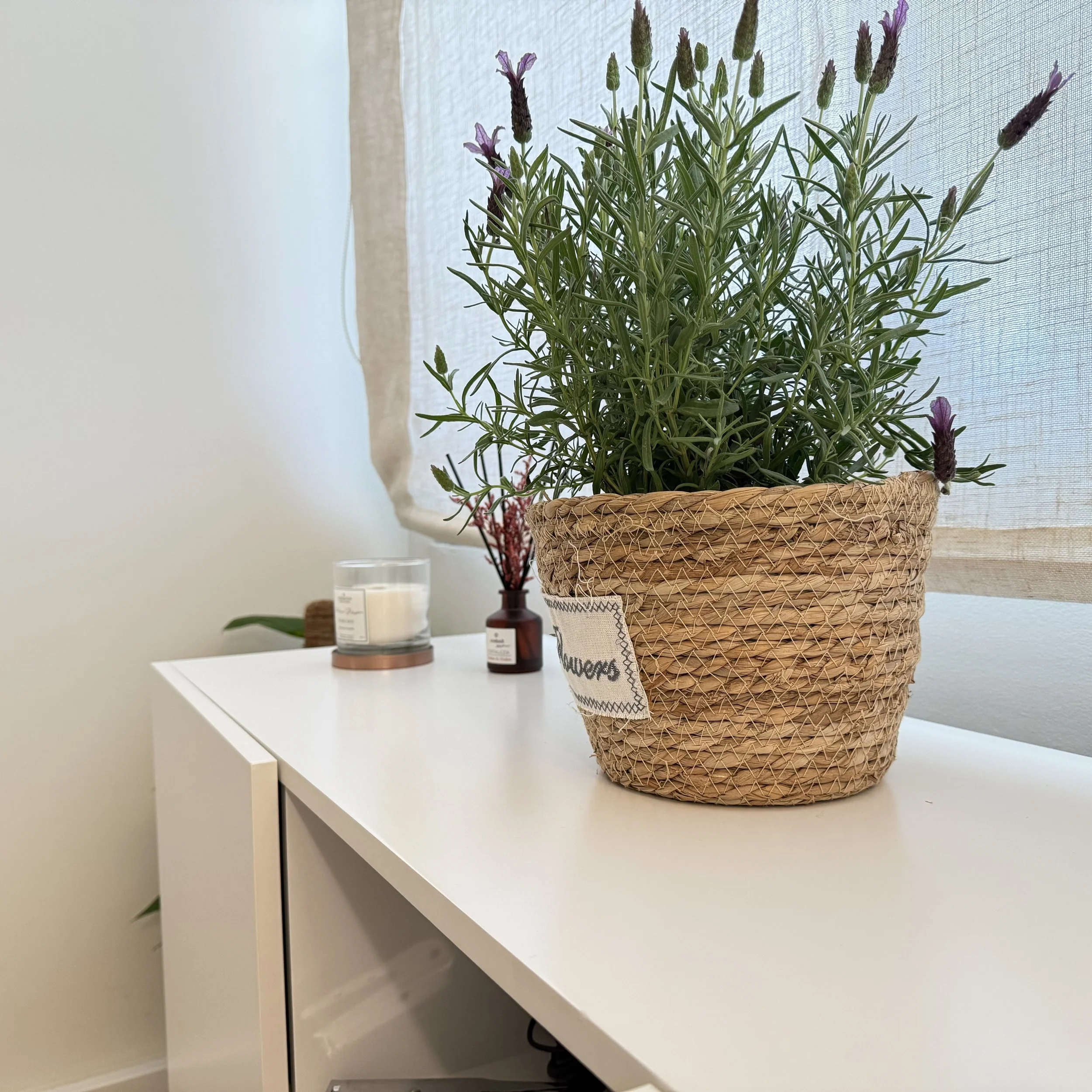 Planta en una canasta de mimbre en una mesa blanca, con una vela blanca y un frasco oscuro en el fondo, junto a una cortina translúcida al fondo