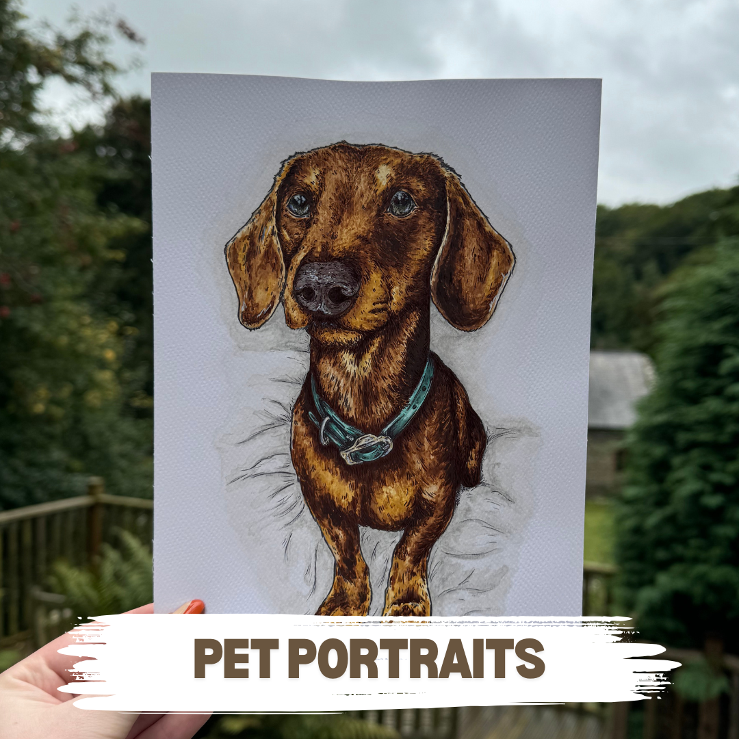 PET PORTRAITS.png