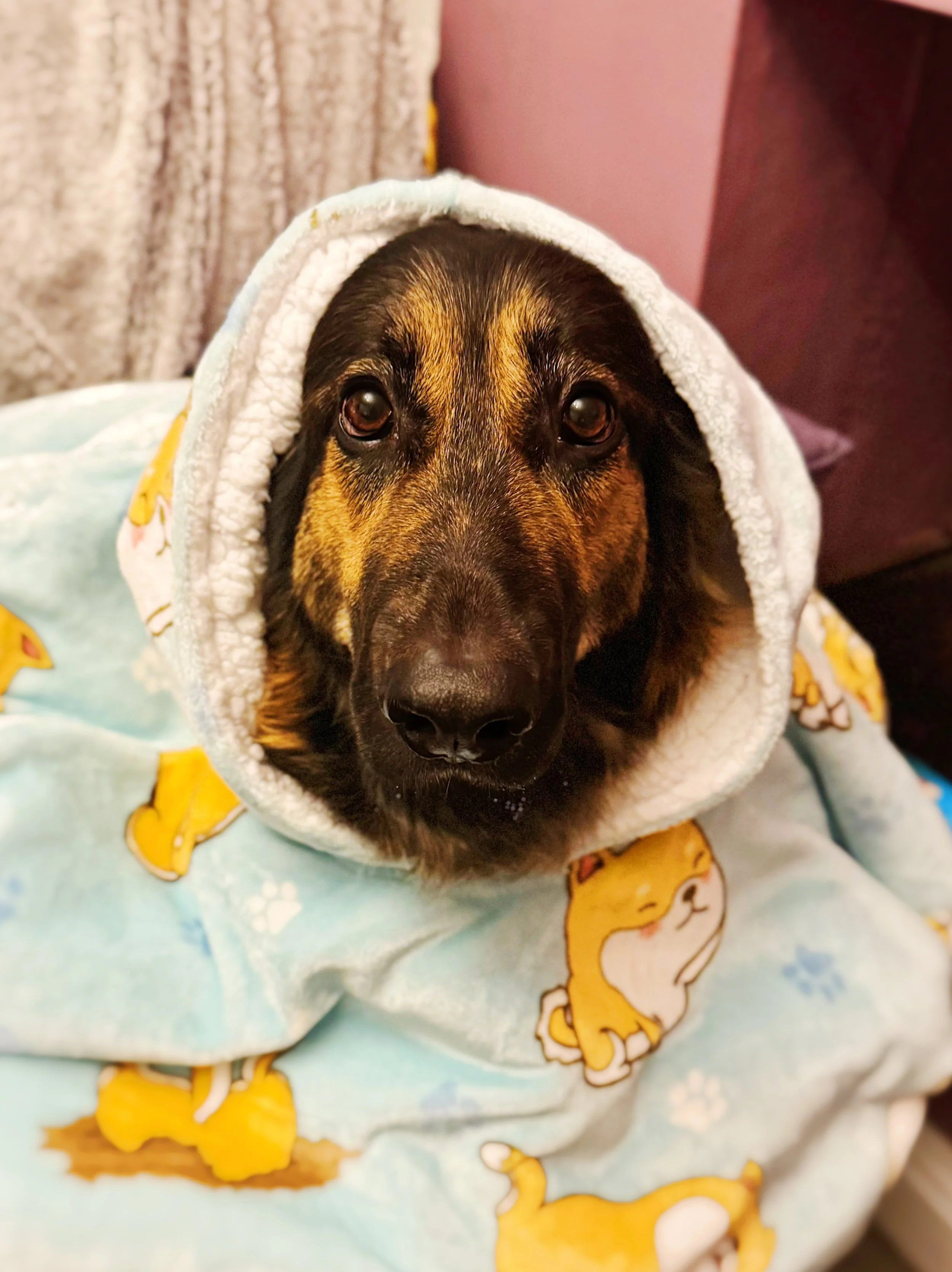 FullSizeRender_VSCO 6.JPG