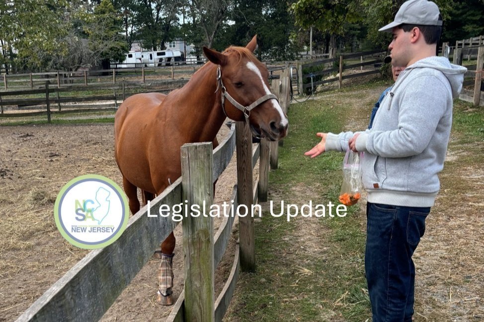 Legislation Committee Update