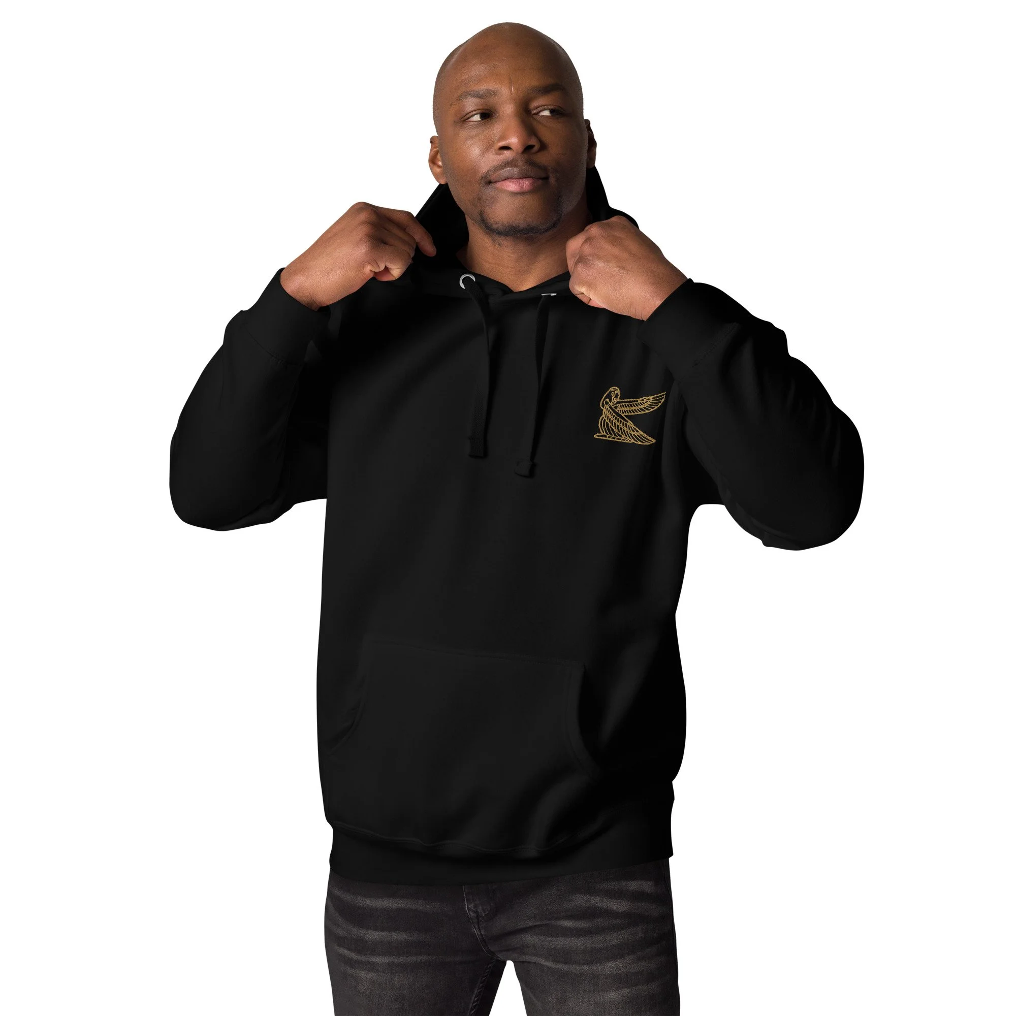 unisex-premium-hoodie-black-front-689bc6f405d6a.jpg
