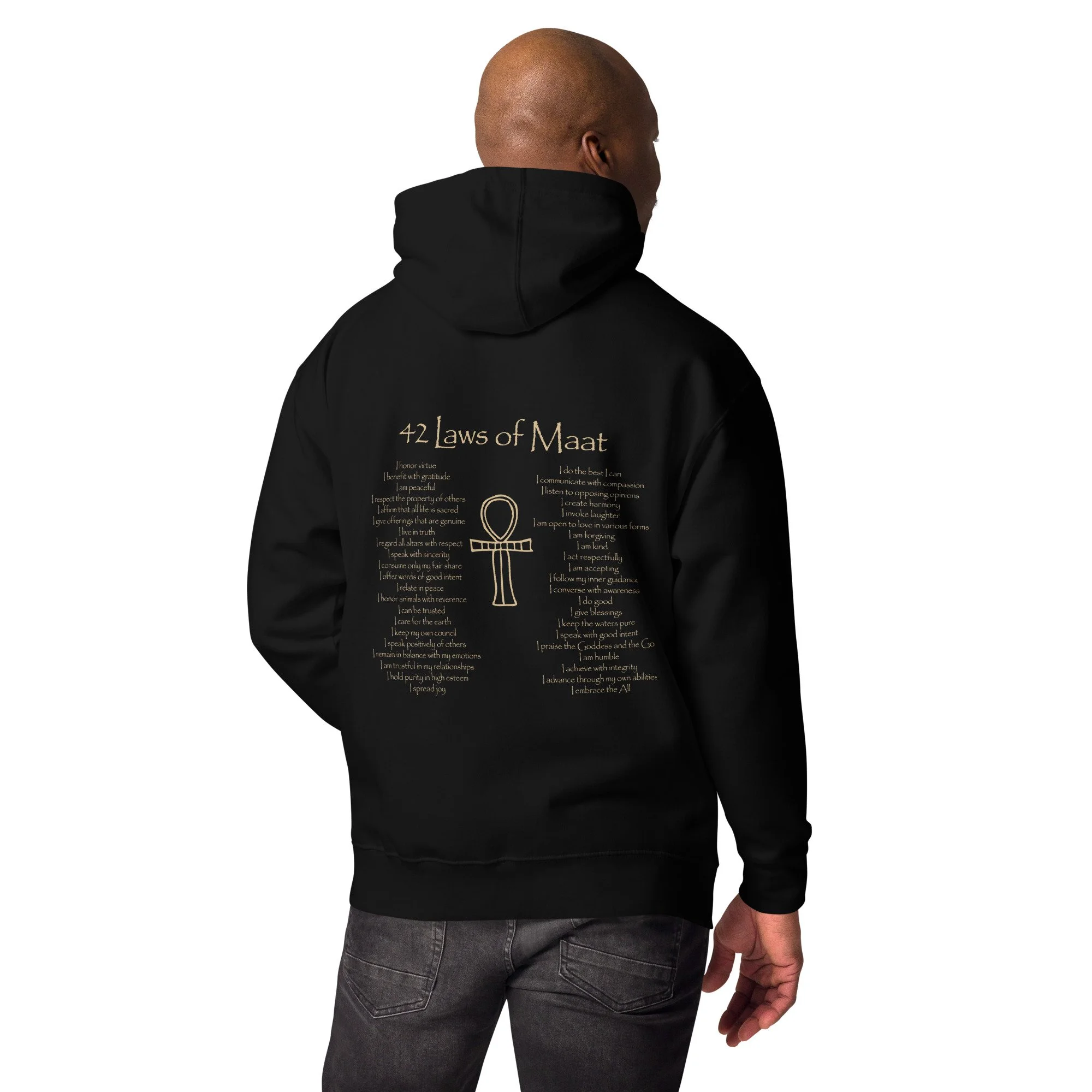 unisex-premium-hoodie-black-back-689bc6f406e57.jpg