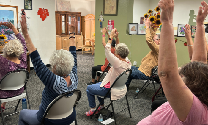 Gentle Chair Yoga for Seniors