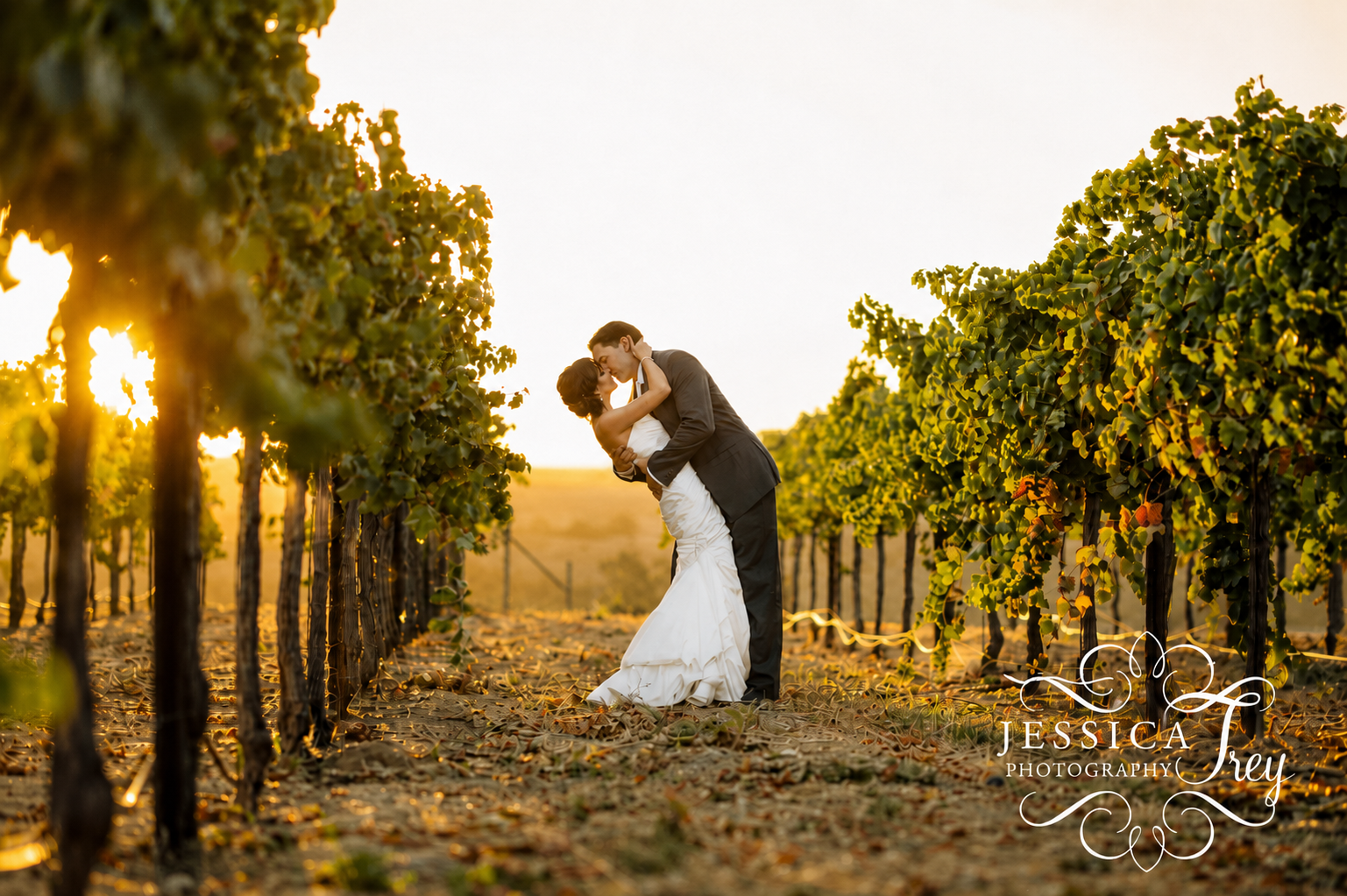 A newlywed couple sharing a romantic kiss in a vineyard during sunset, surrounded by lush green grapevines.