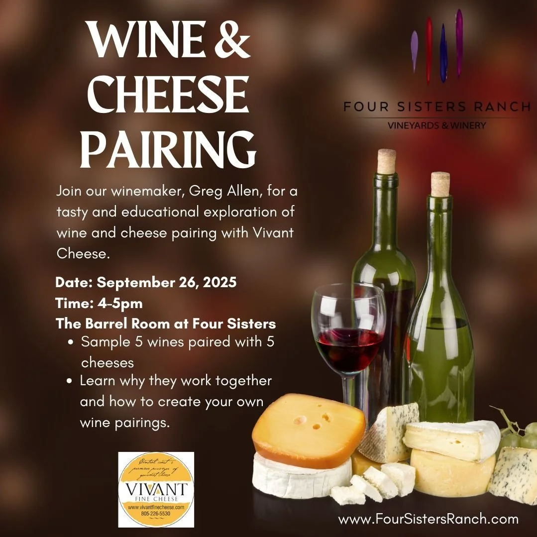 Wine & Cheese Pairing Experience