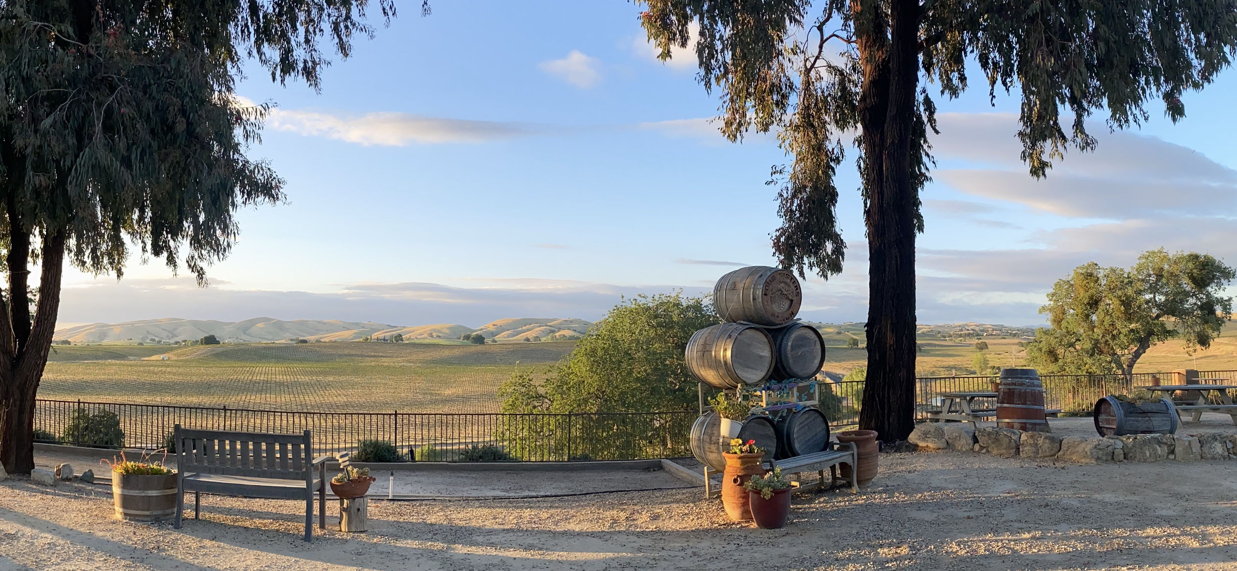 Panoramic view of Paso Robles wine country in Spring from Four Sisters Ranch Vineyards and Winery