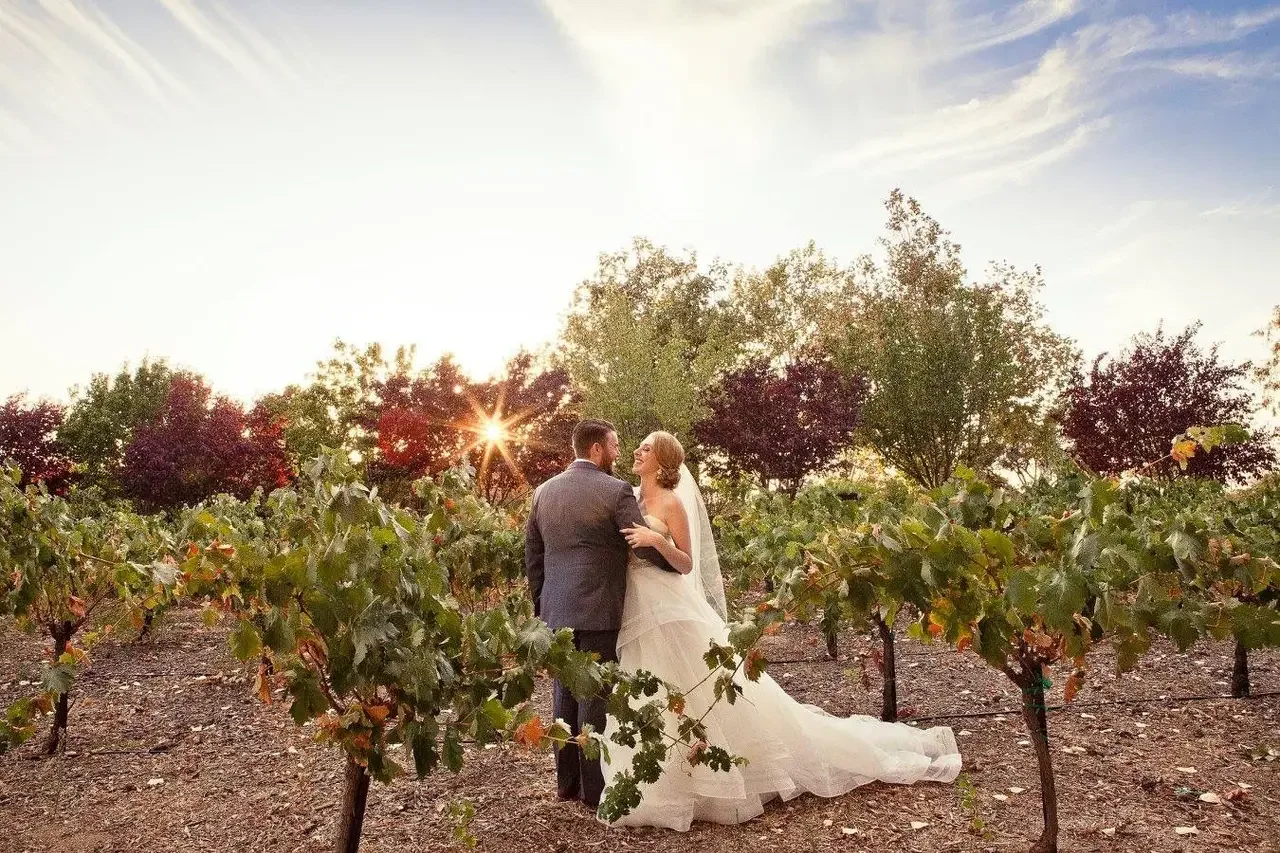 A bride and groom on their wedding day standing in a vineyard at sunset, with vineyard vines in the foreground and trees in the background.