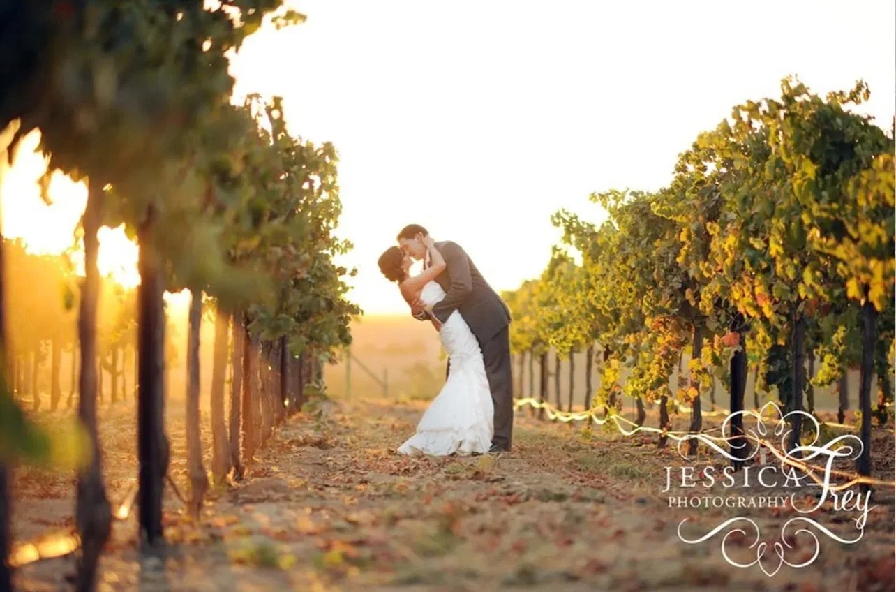 Bride and groom in the vineyard at sunset - Four Sisters Ranch Vineyards & Winery - Paso Robles - San Miguel - Californa wine country