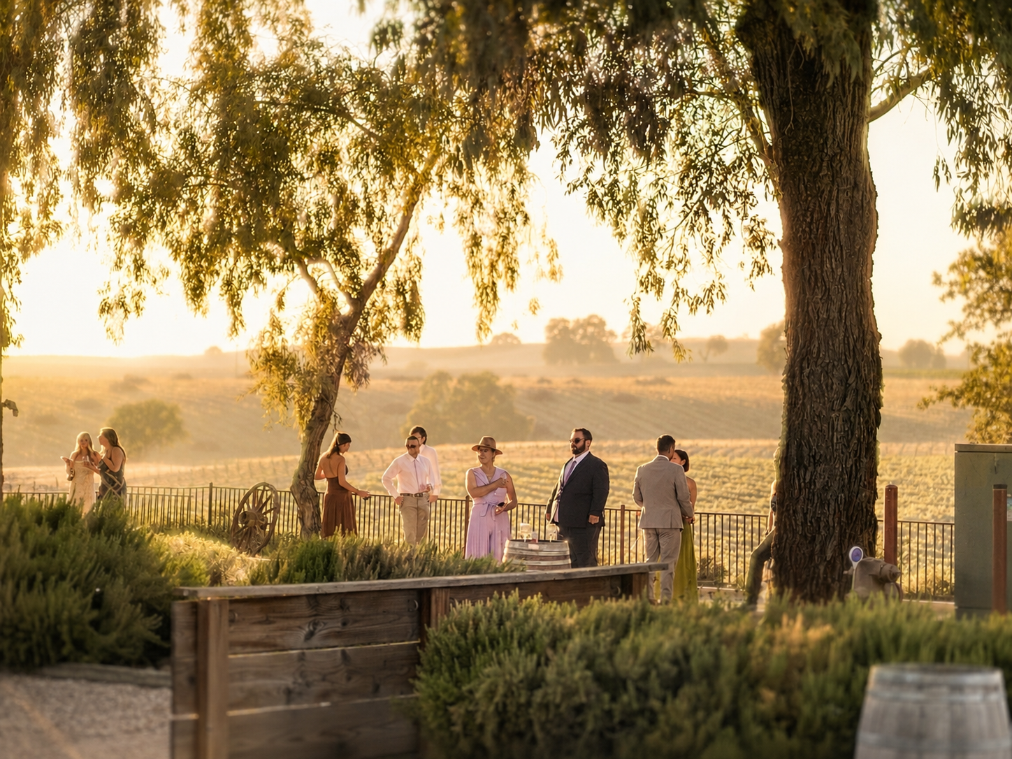 People gathering outdoors in a vineyard during sunset, dressed in formal attire for an event or celebration.