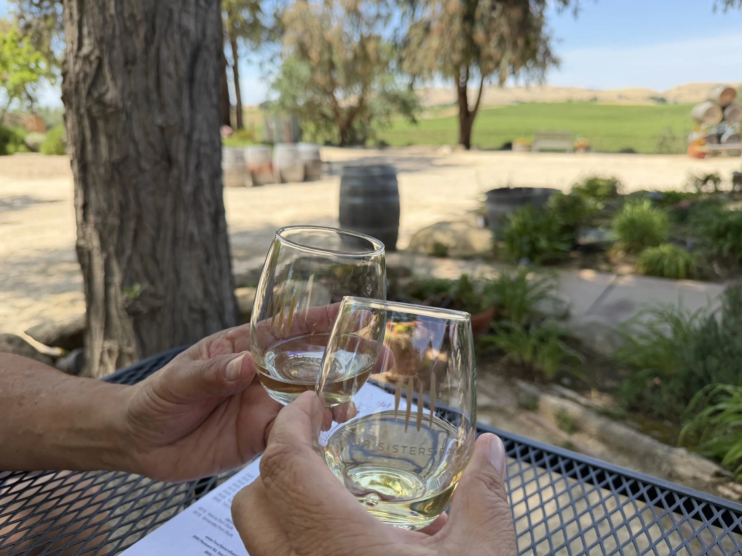 Wine glasses clinking at Four Sisters Ranch Vineyards & Winery tasting room in Paso Robles with view of wine country