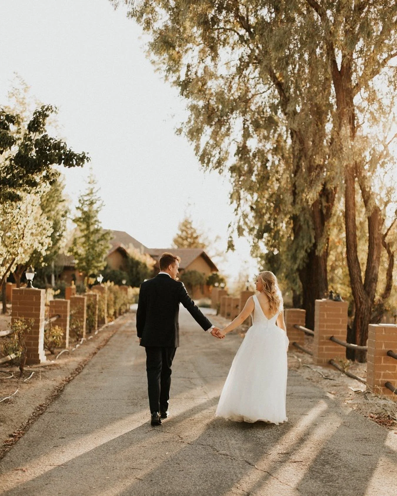 winery wedding in Paso Robles