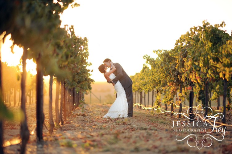 Bride and Groom wedding photography in vineyards