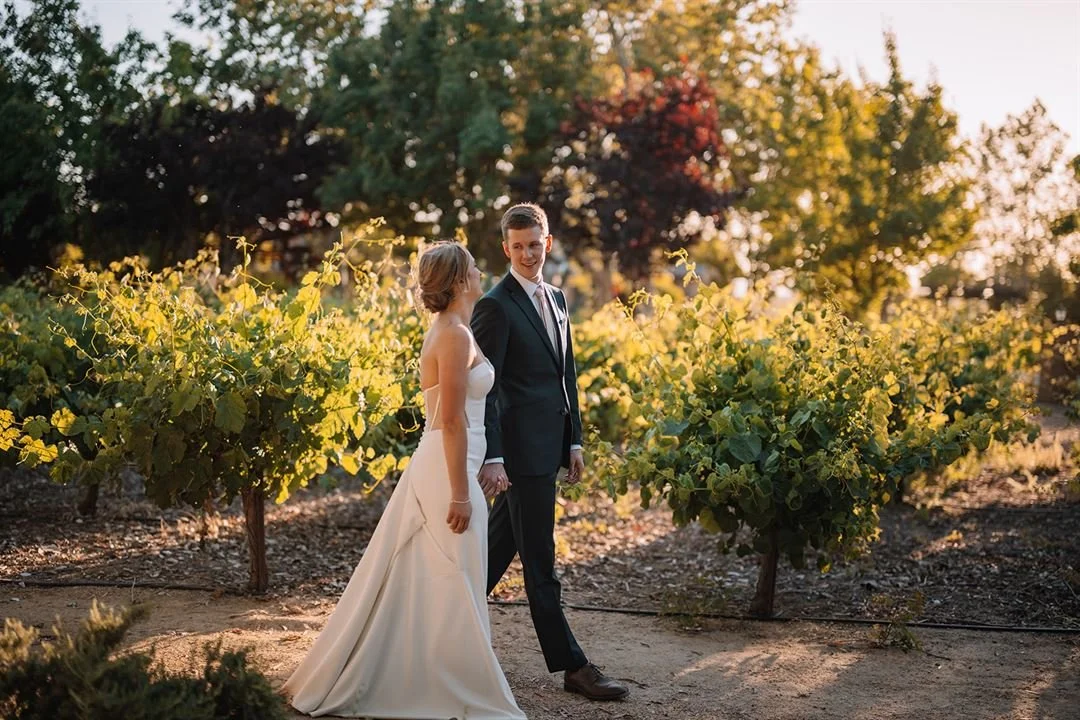 A bride and groom holding hands and walking through a vineyard at sunset.