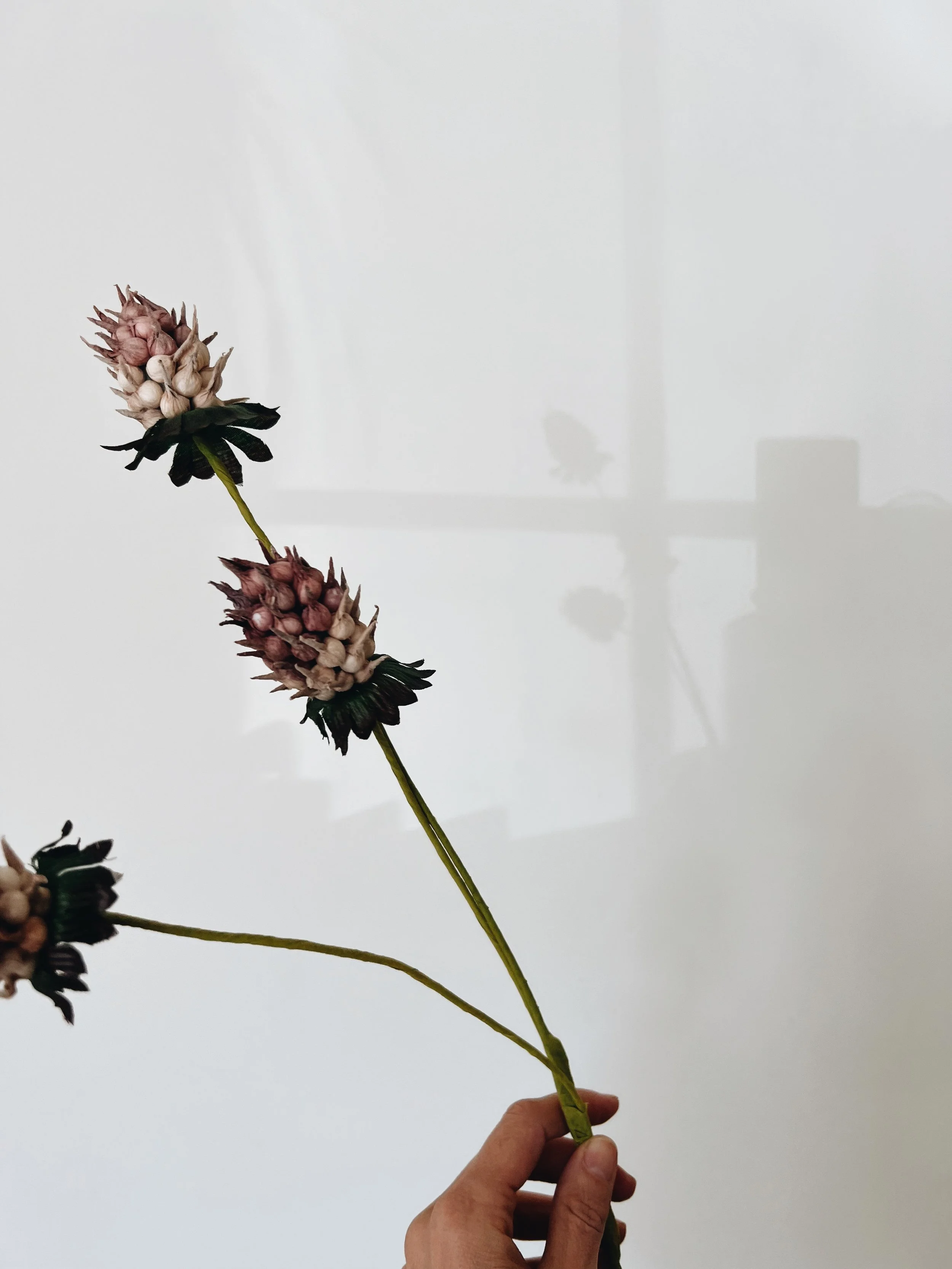 Something wants to heal, a foraged stem held gently, a resource for regulation