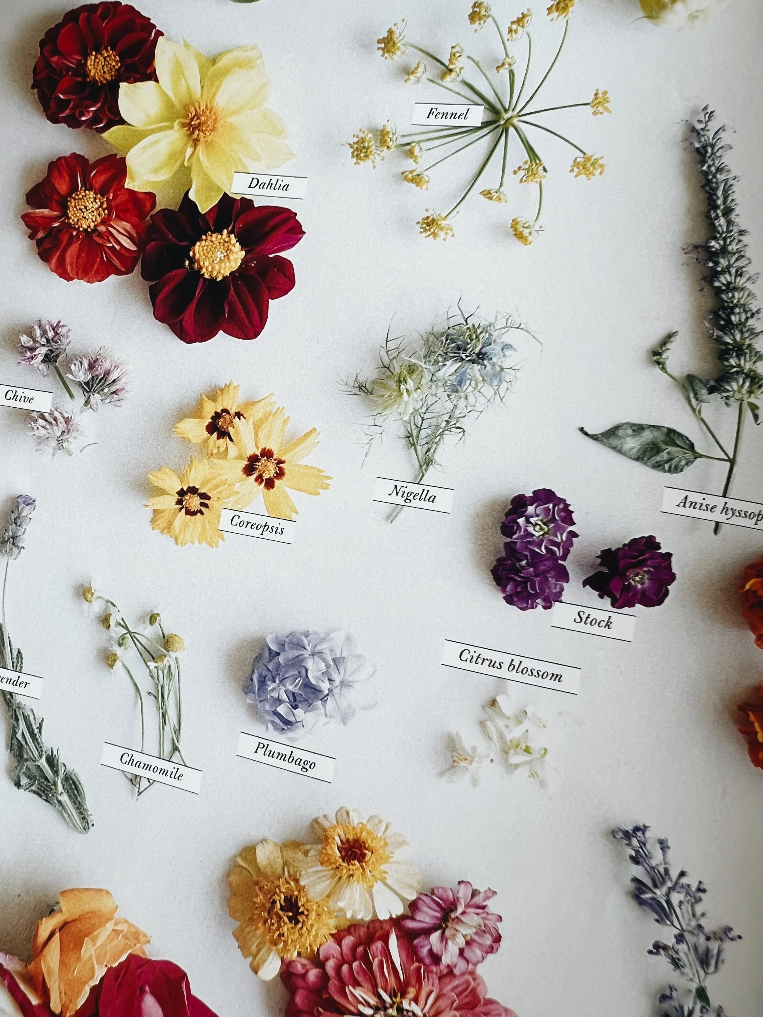 Tracking, an Underrated Superpower