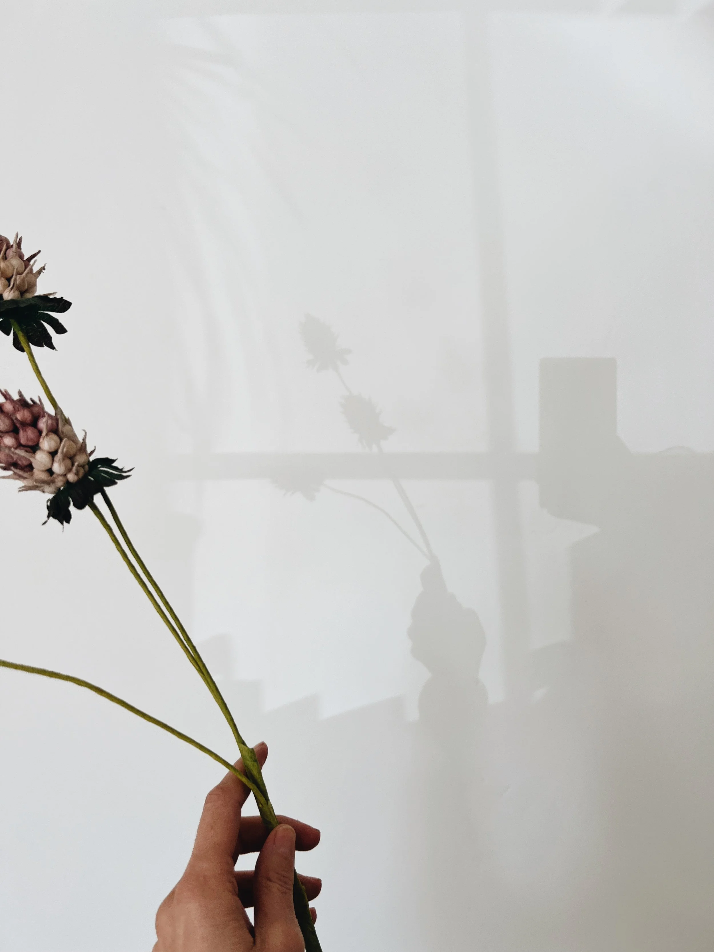 A silhouette of someone holding rustic stems, reparenting skills that guide you home