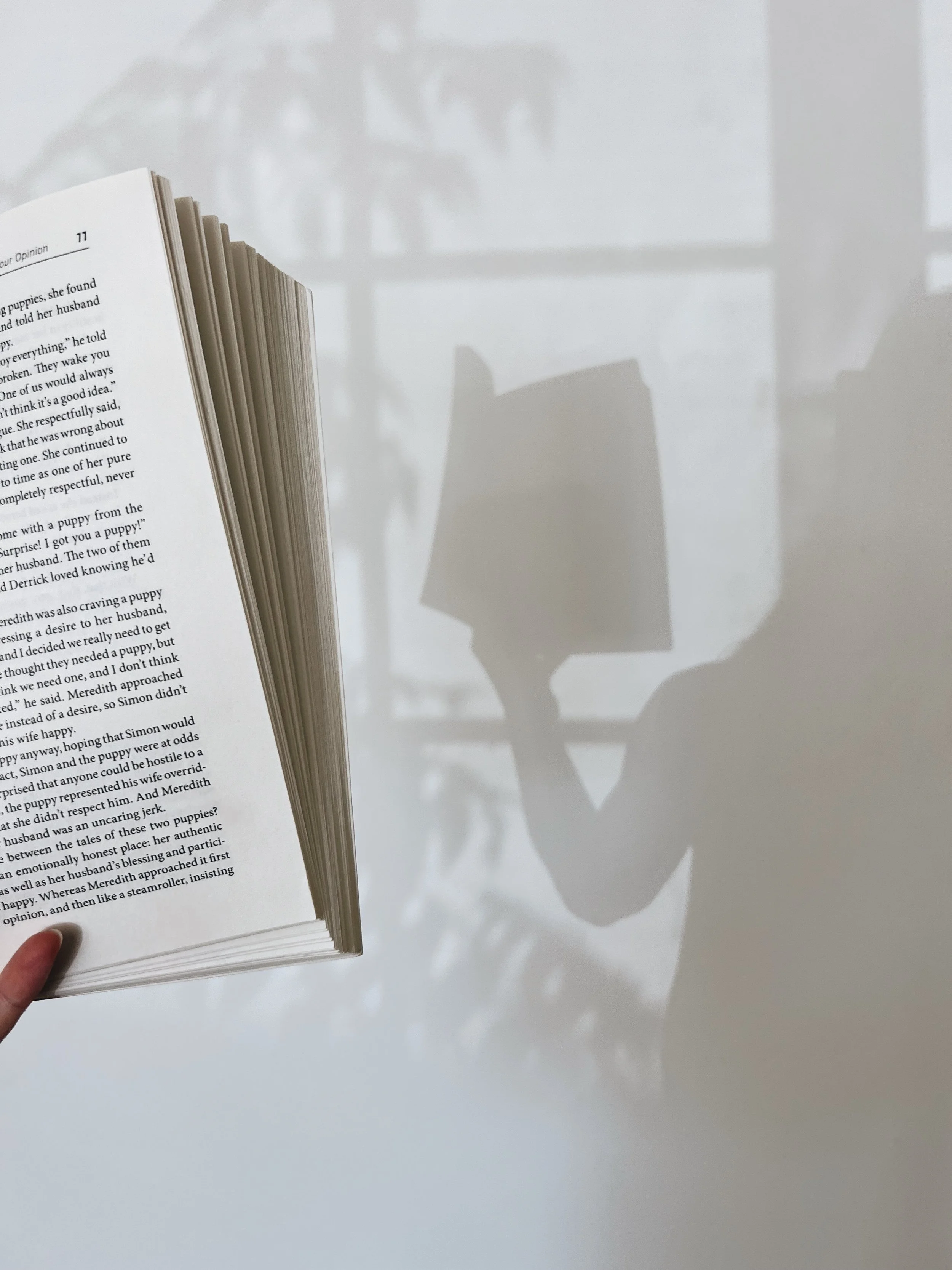 My focus, an open book, a silhouette of a woman reading