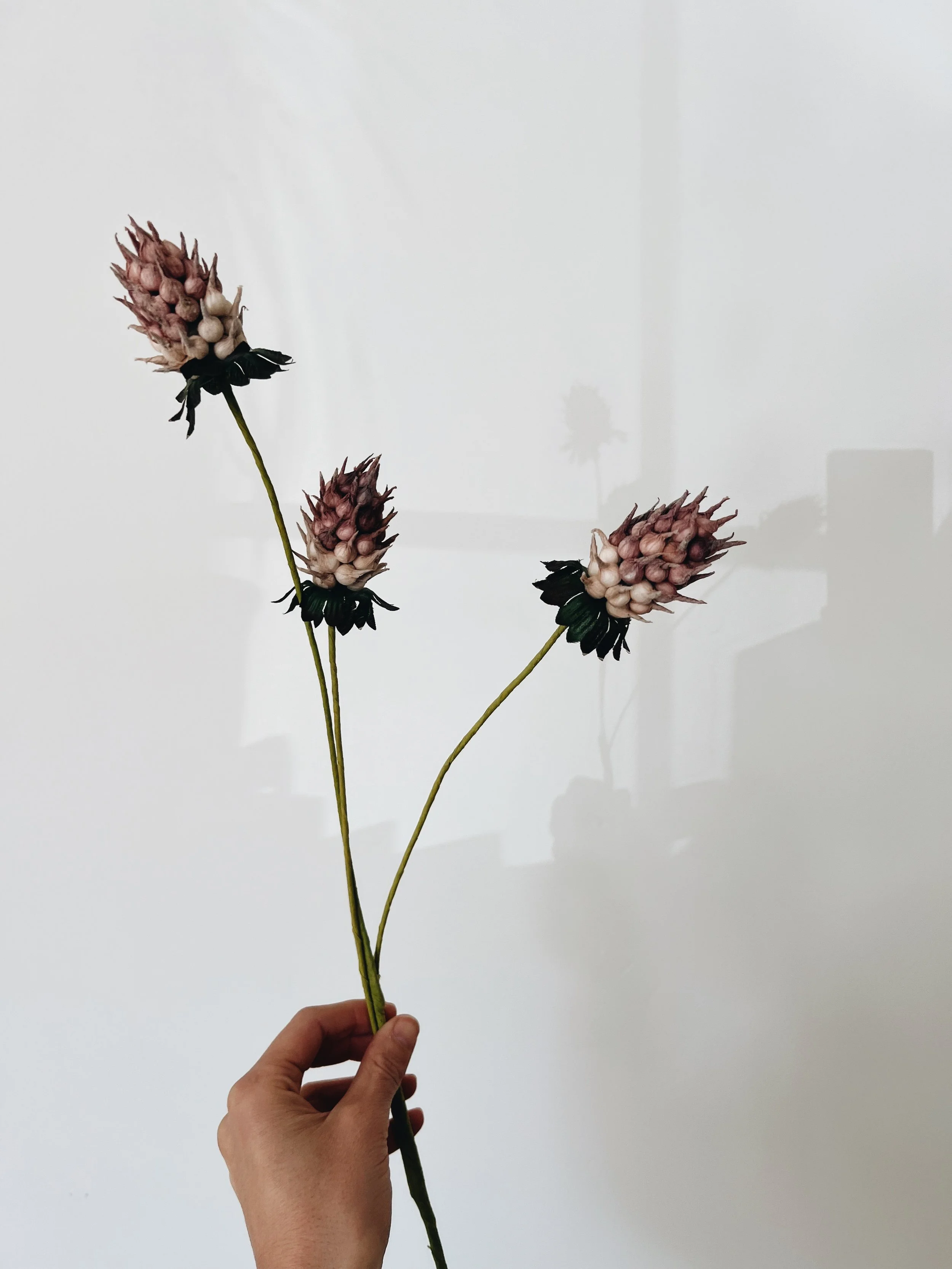 Rustic stems, a robust and integrative framework