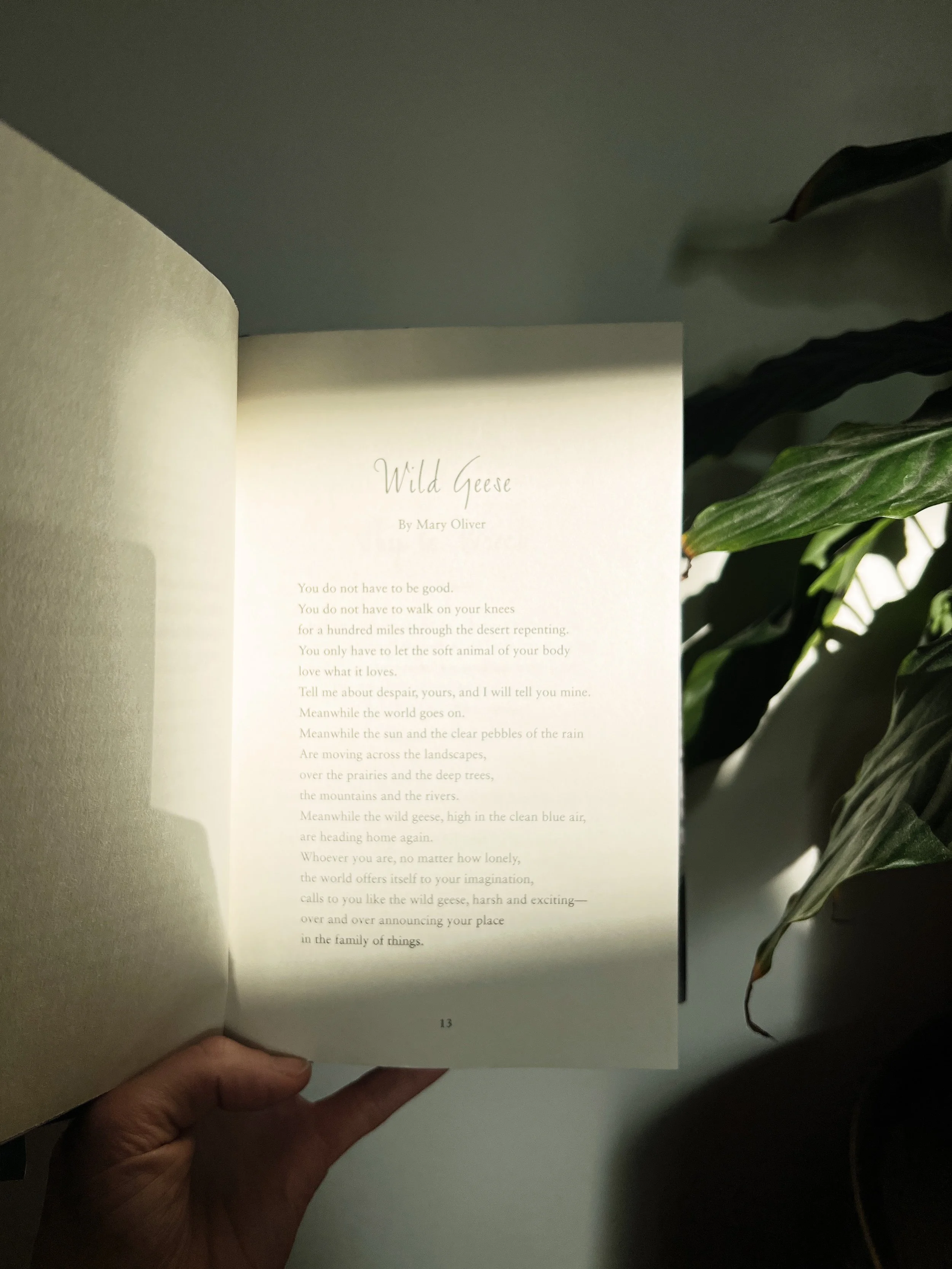 No more force, more presence, a hand holding a book that talks about allowing the human experience to just be