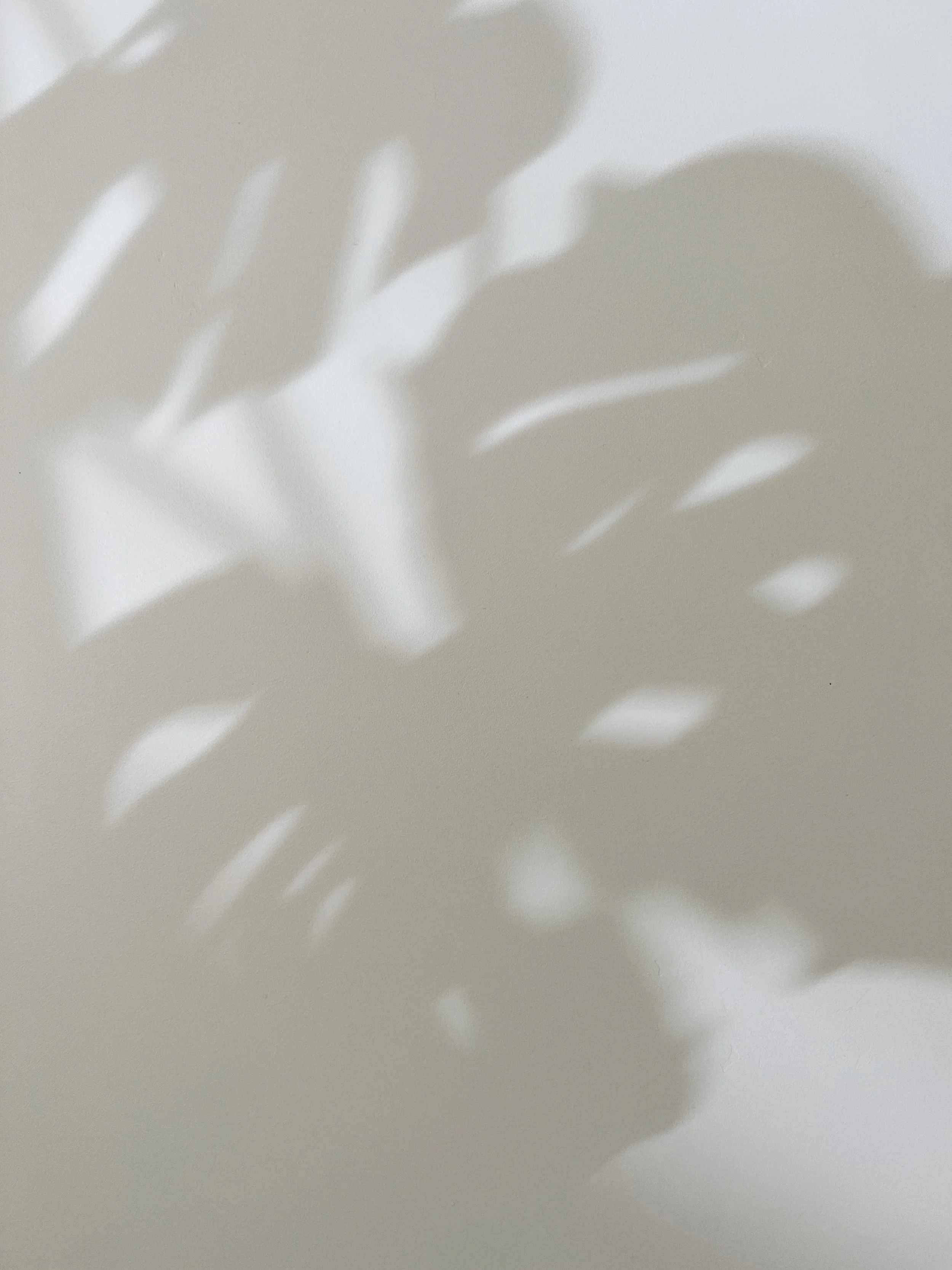 Shadowy leaves, building the new not as concepts but as lived, embodied practices