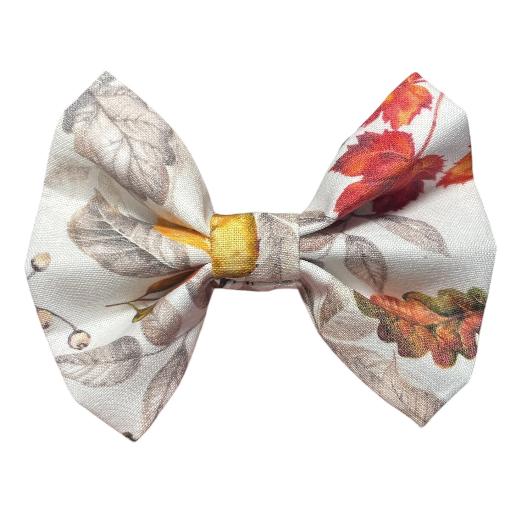 Winter is Here | Pet Bow Tie | Double Elastic