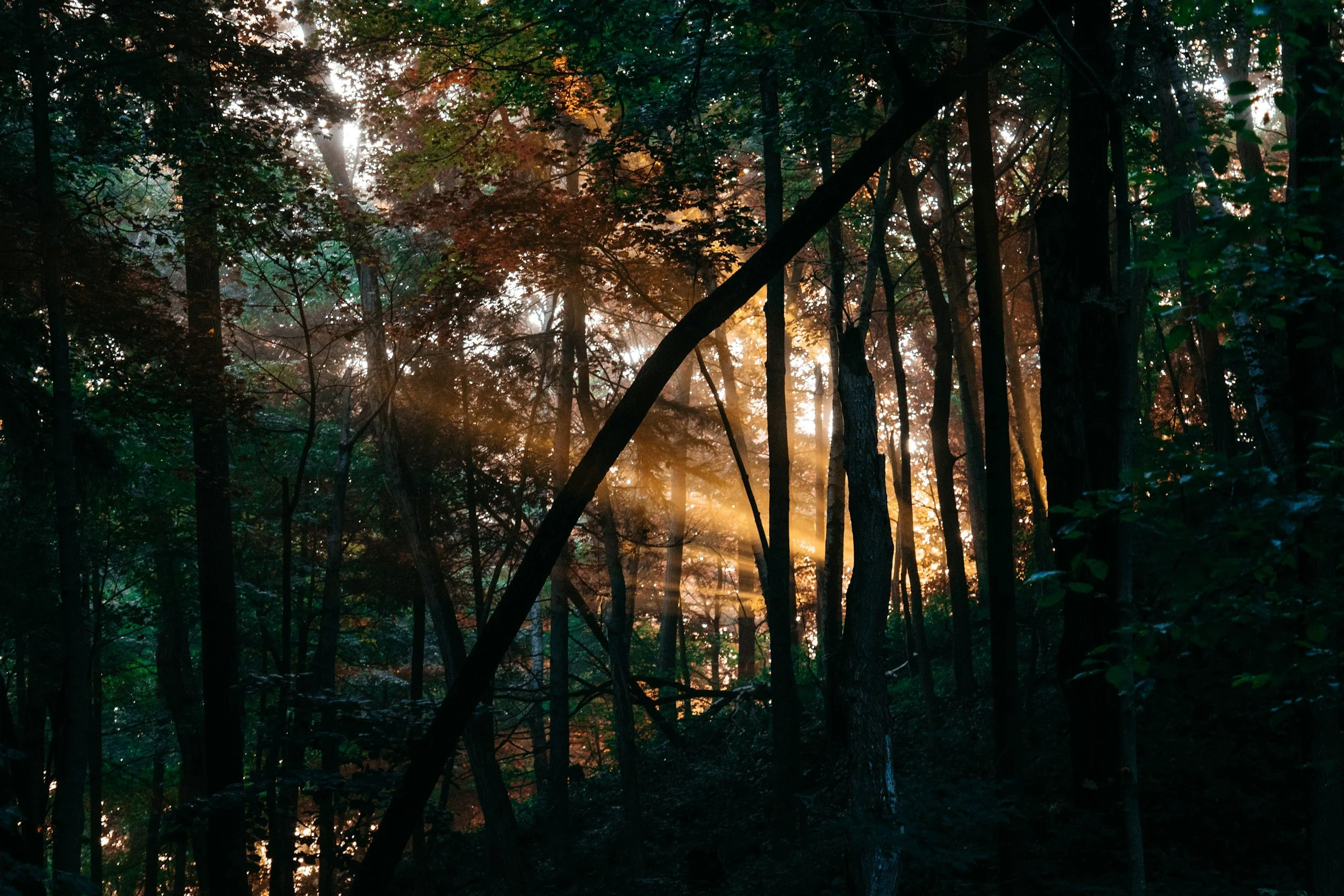 unsplash-image-BZFjYBTWq1k.jpg