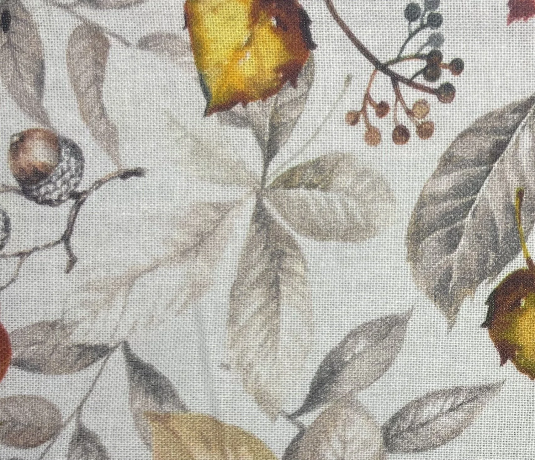 Winter is Here | Reversible Pet Bandana