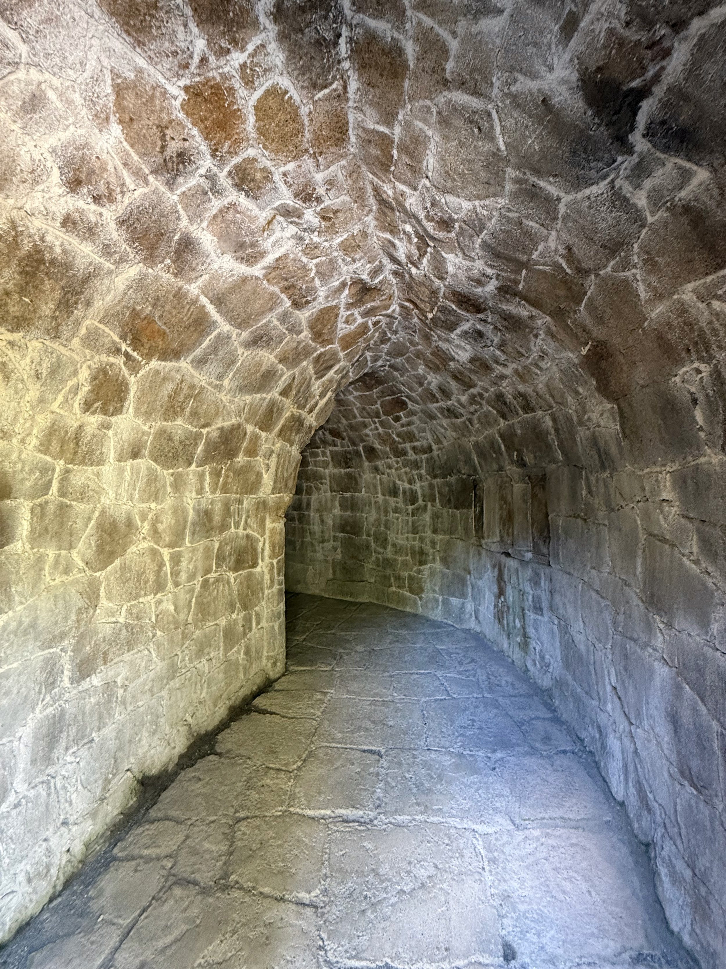 IMG_0146.jpeg