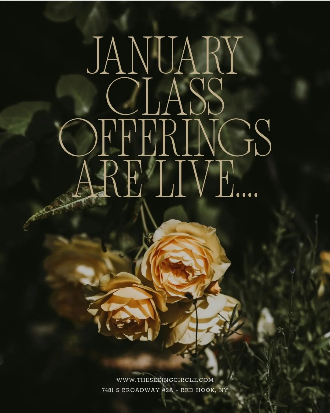 Sound, breath, and stillness offered throughout the month.
A few new days and times.

Details and registration in the link in bio.