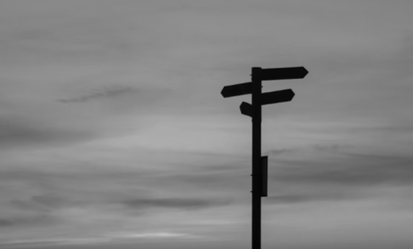 Using Habitus in Modern Marketing