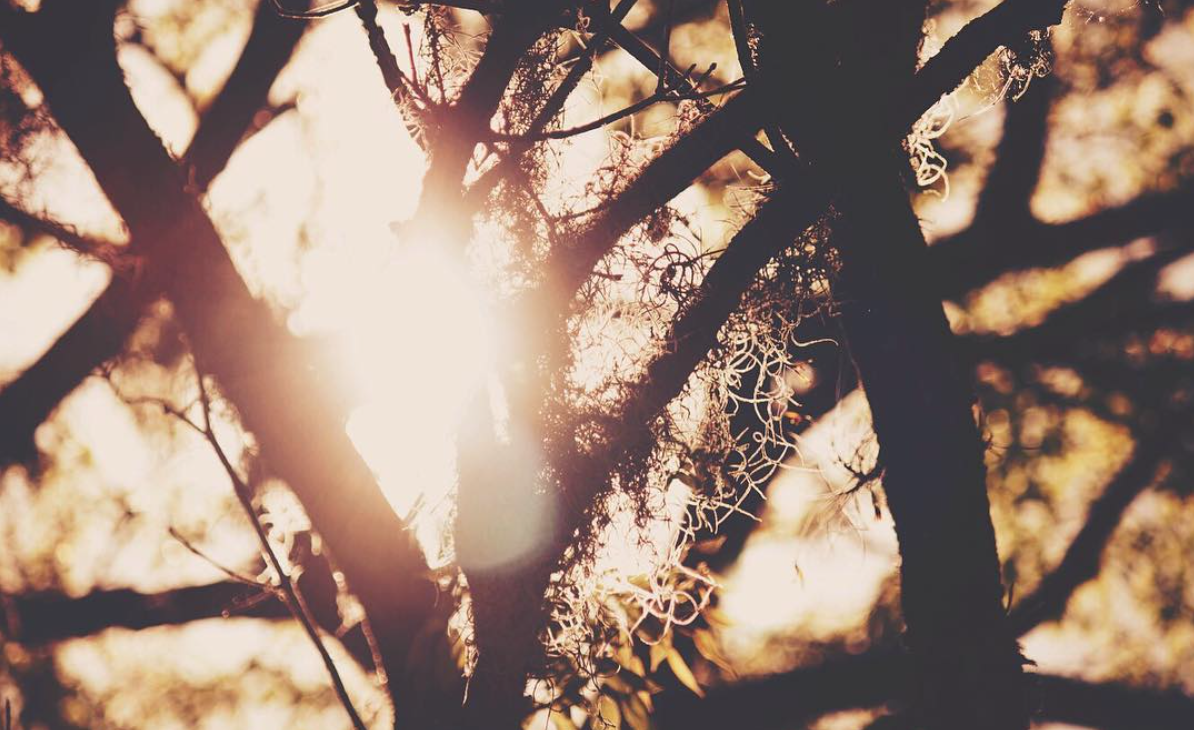 Screen Shot 2017-01-27 at 1.53.14 AM.png