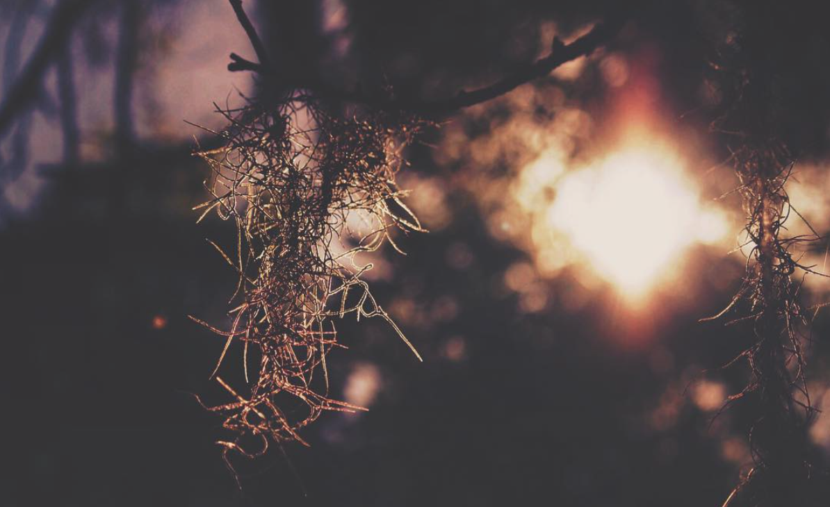 Screen Shot 2017-01-27 at 1.52.14 AM.png