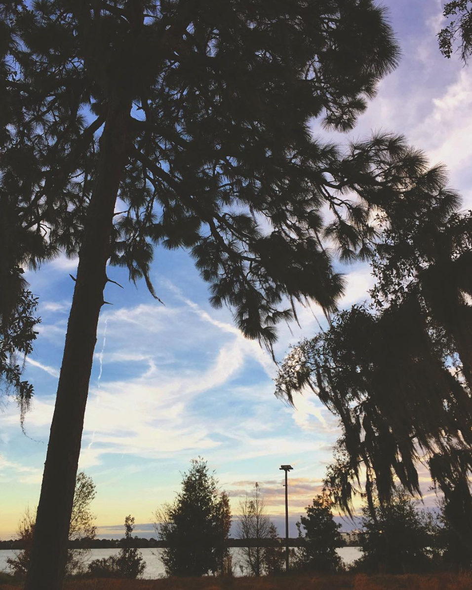 Screen Shot 2017-01-27 at 1.51.43 AM.png