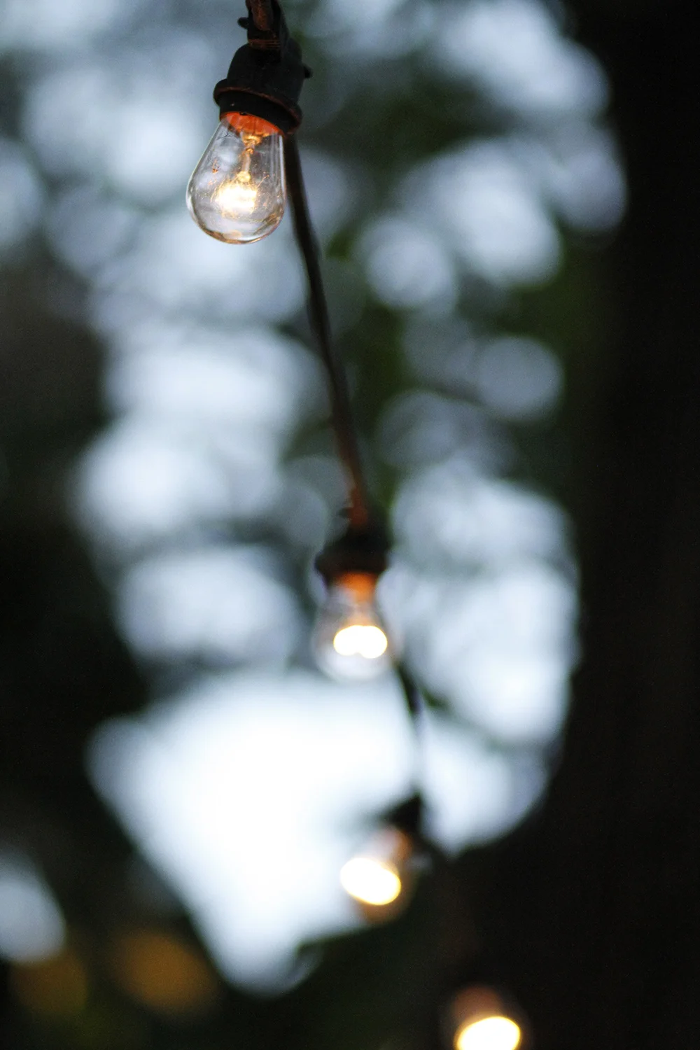 _MG_6844.jpg