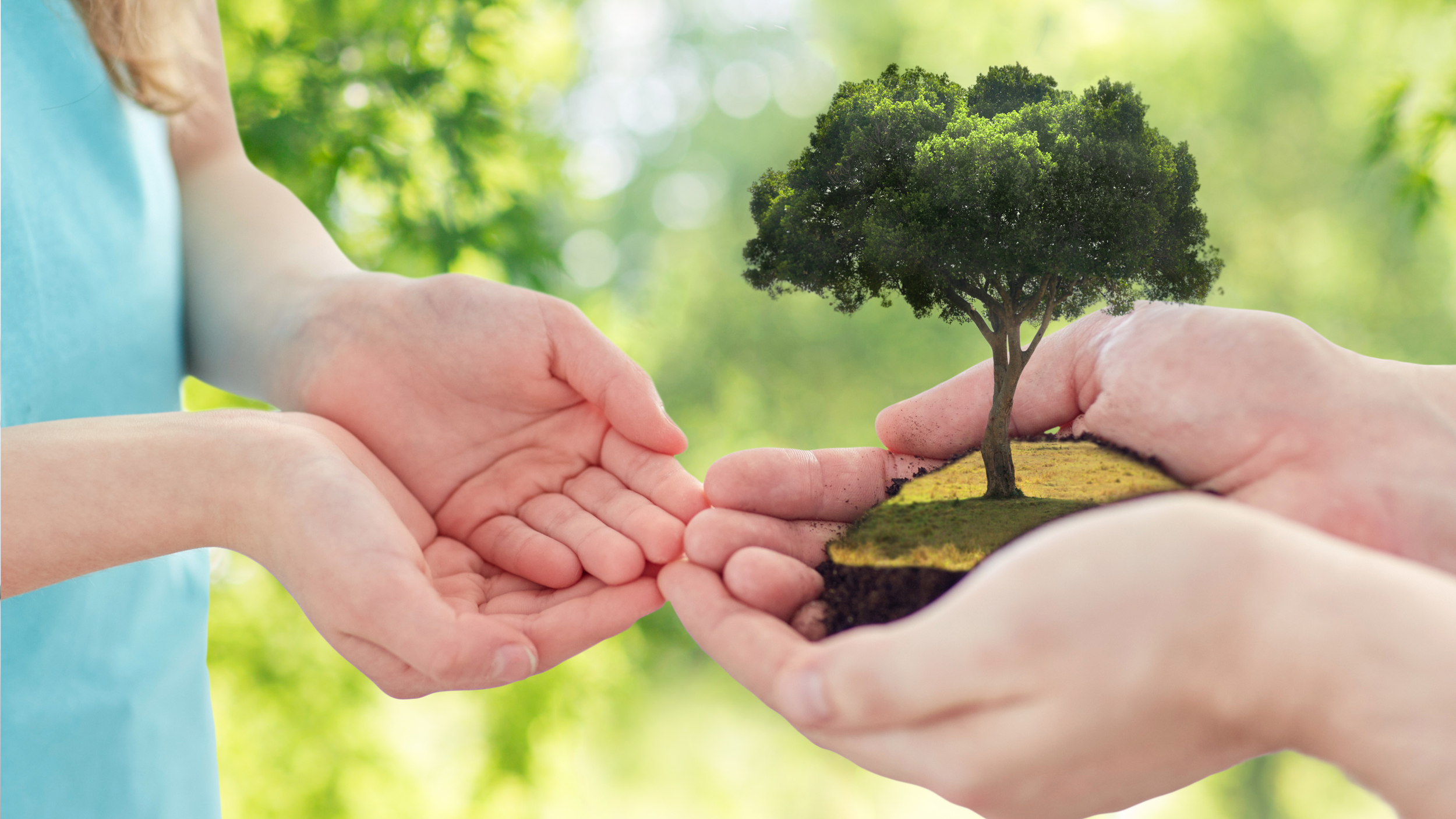 The Role of a Financial Adviser in Estate Planning