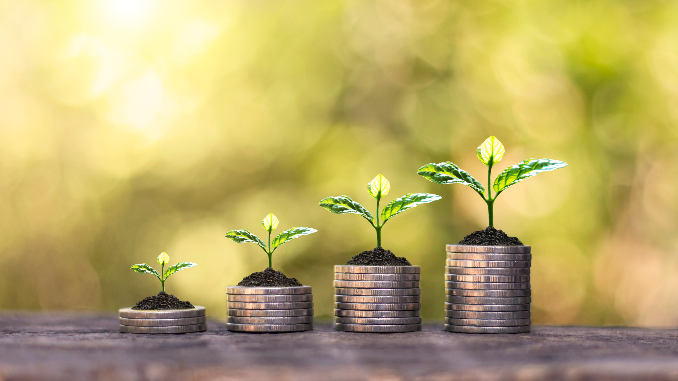 Why Compound Growth Is the Secret to Long-Term Wealth