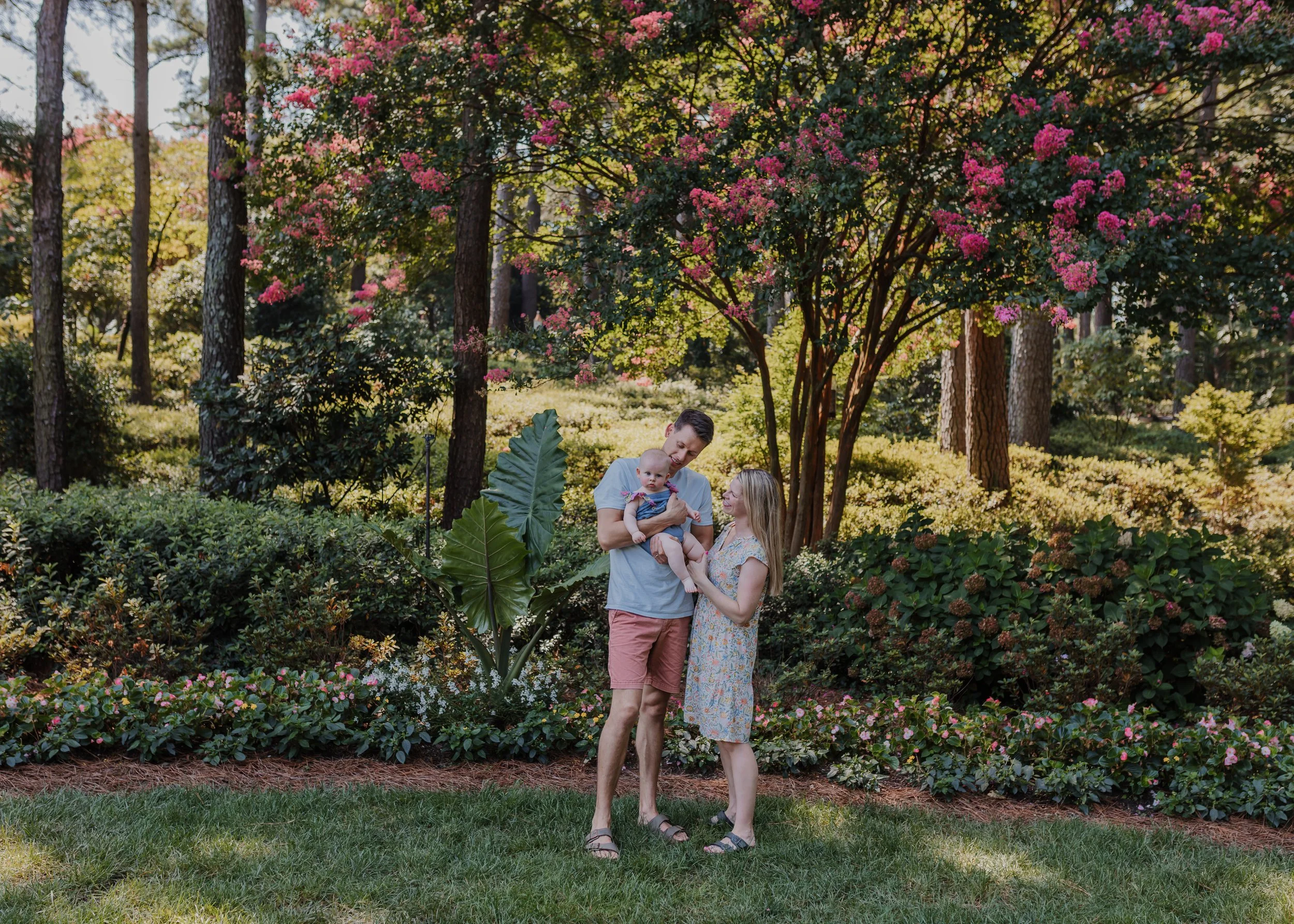 Family with 6-month-old baby girl stand together under a blooming crepe myrtle tree at the WRAL Azalea Gardens in Raleigh.