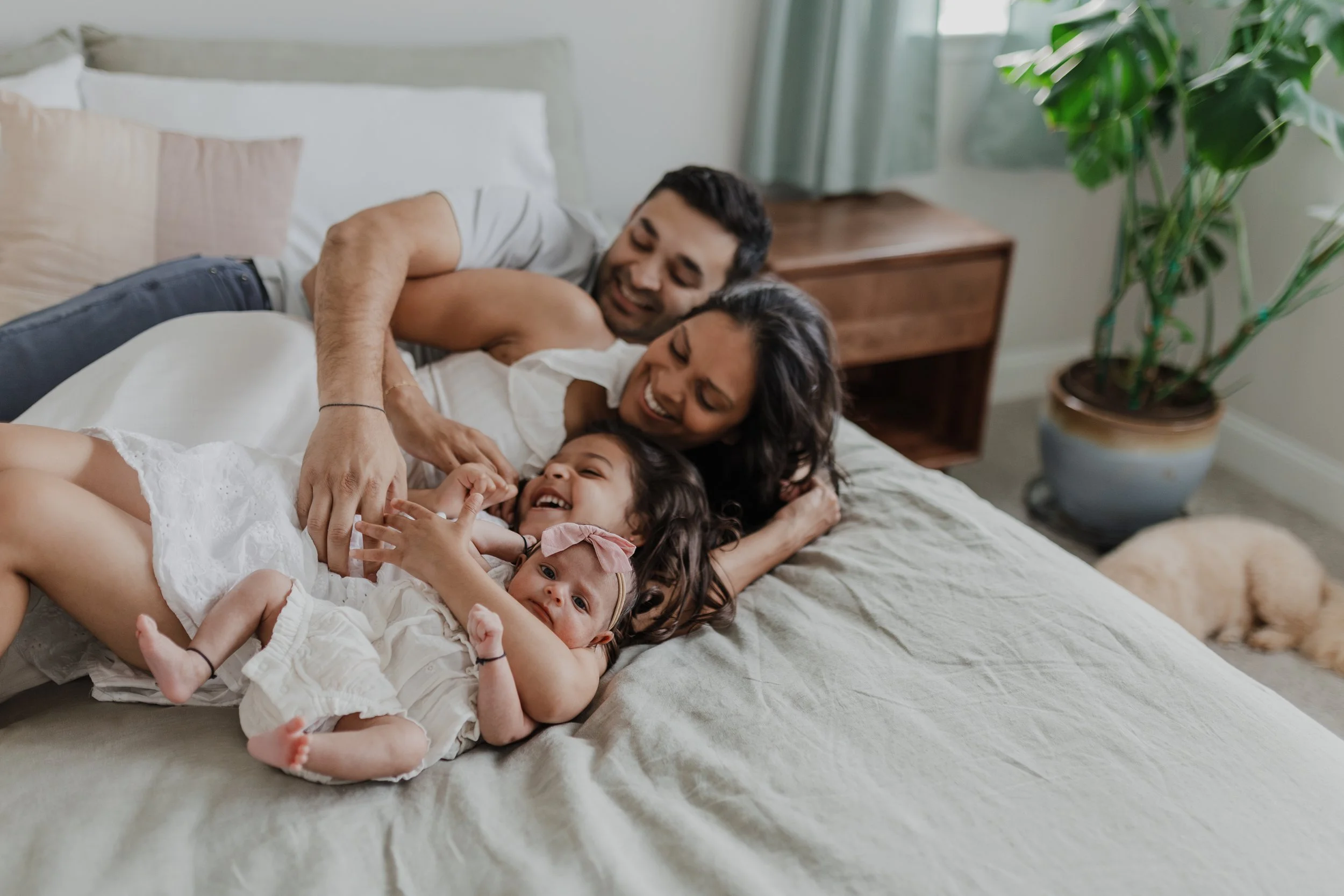 Family with toddler and baby play on their bed during a newborn photo session at their home in Durham, NC