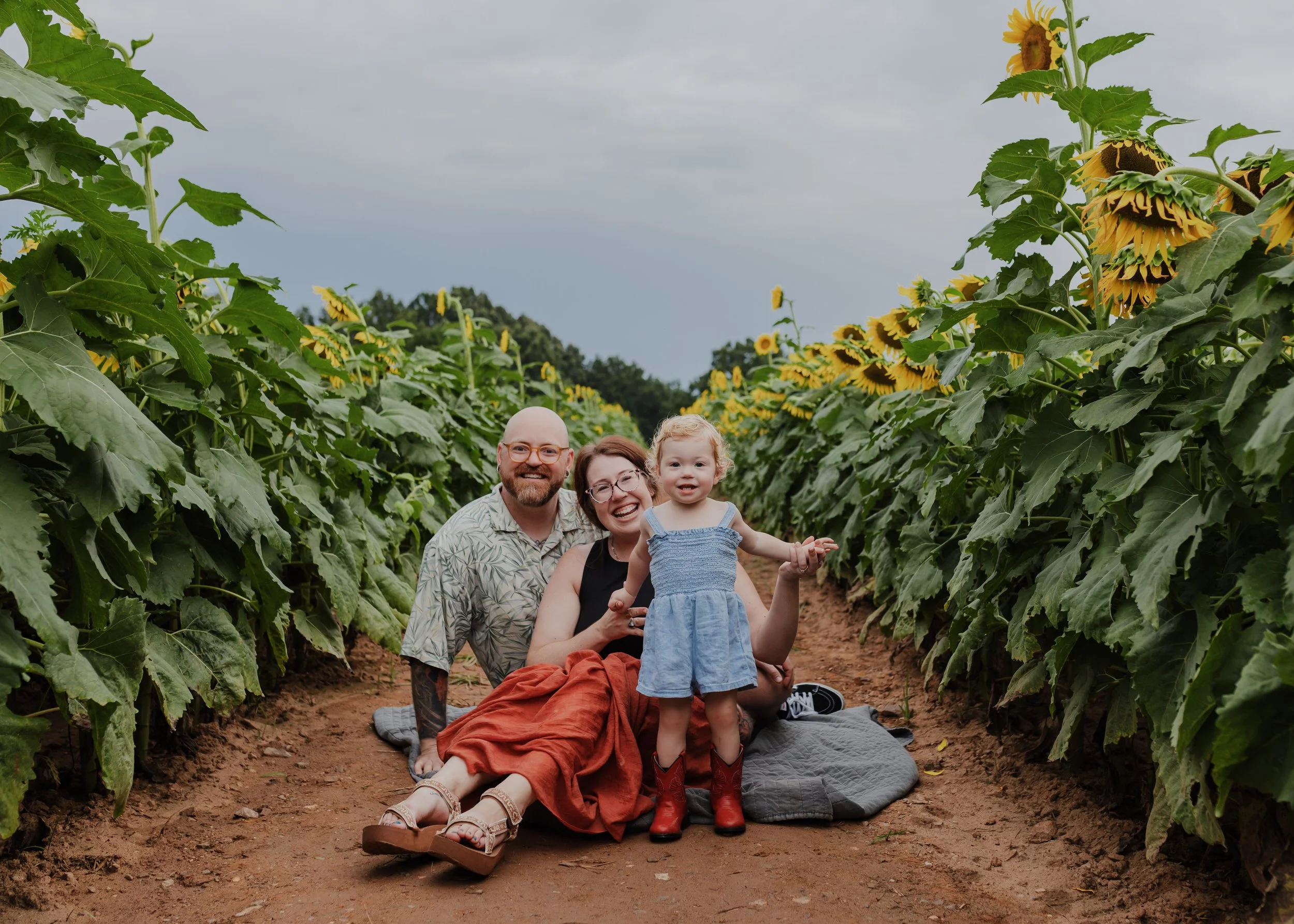 Family of three posing between rows of blooming sunflowers at Dix Park in Raleigh, NC, with a toddler in red cowboy boots standing in front of her parents during a summer sunflower mini session.