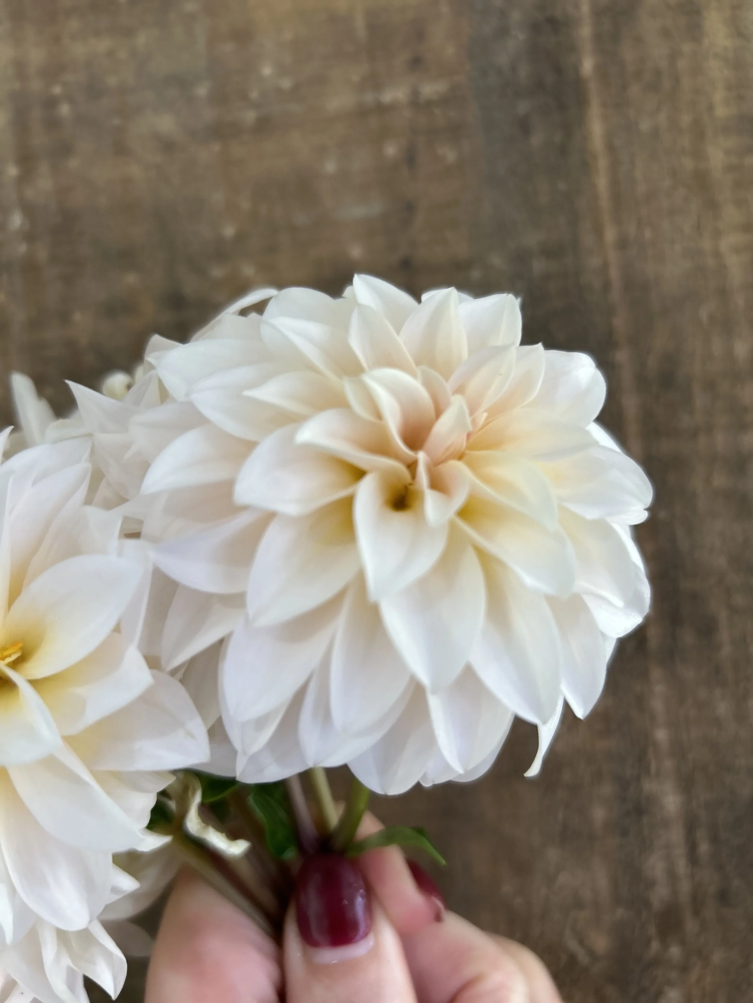 Bell’s La Peche Mode Cutting