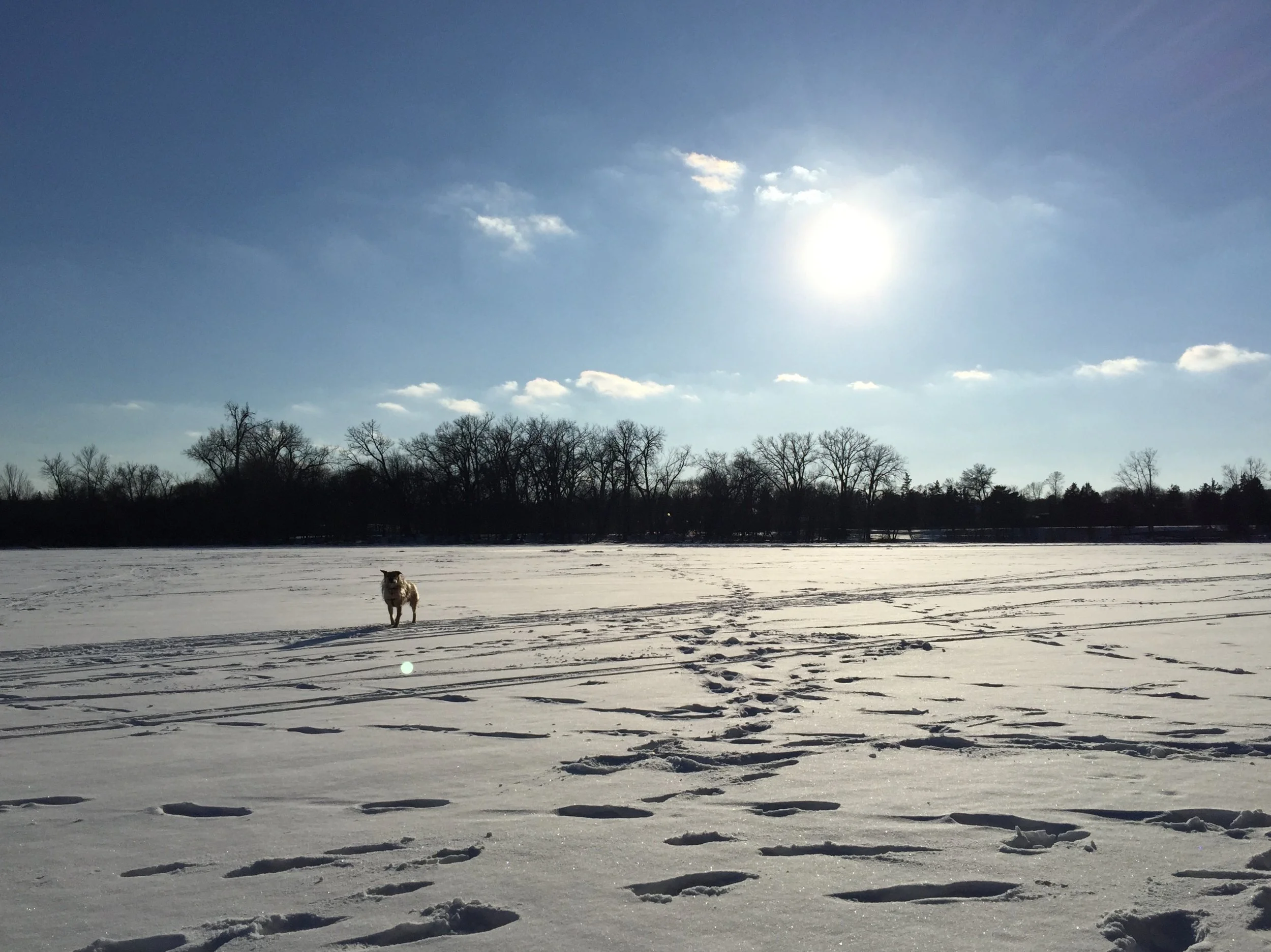 cedar-lake_16431572648_o.jpg
