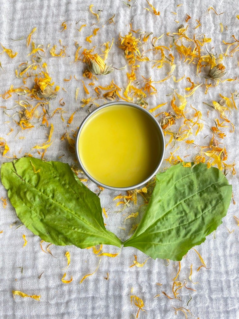 Herbal Healing Salve