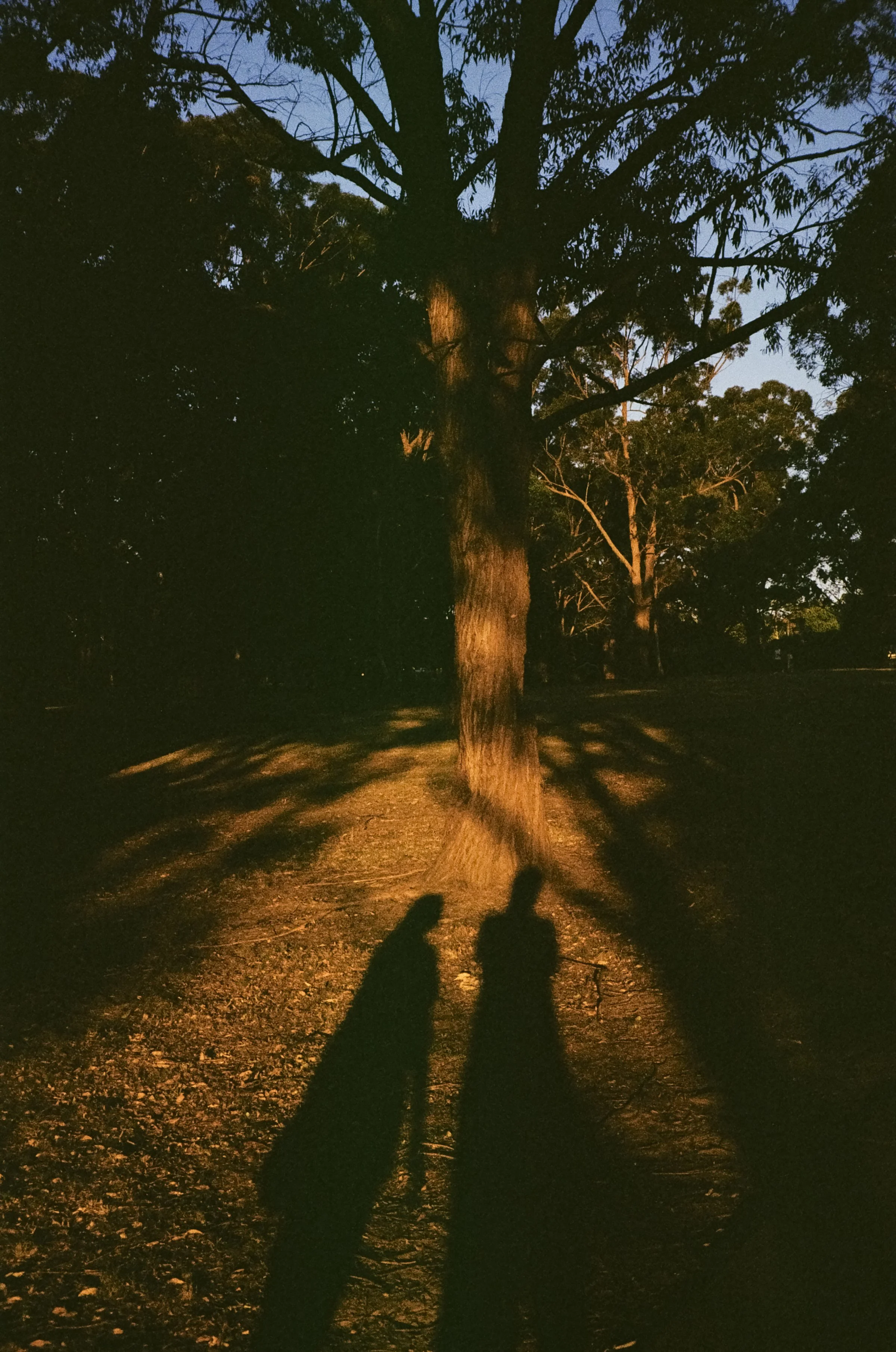 None Bordered-13.jpg