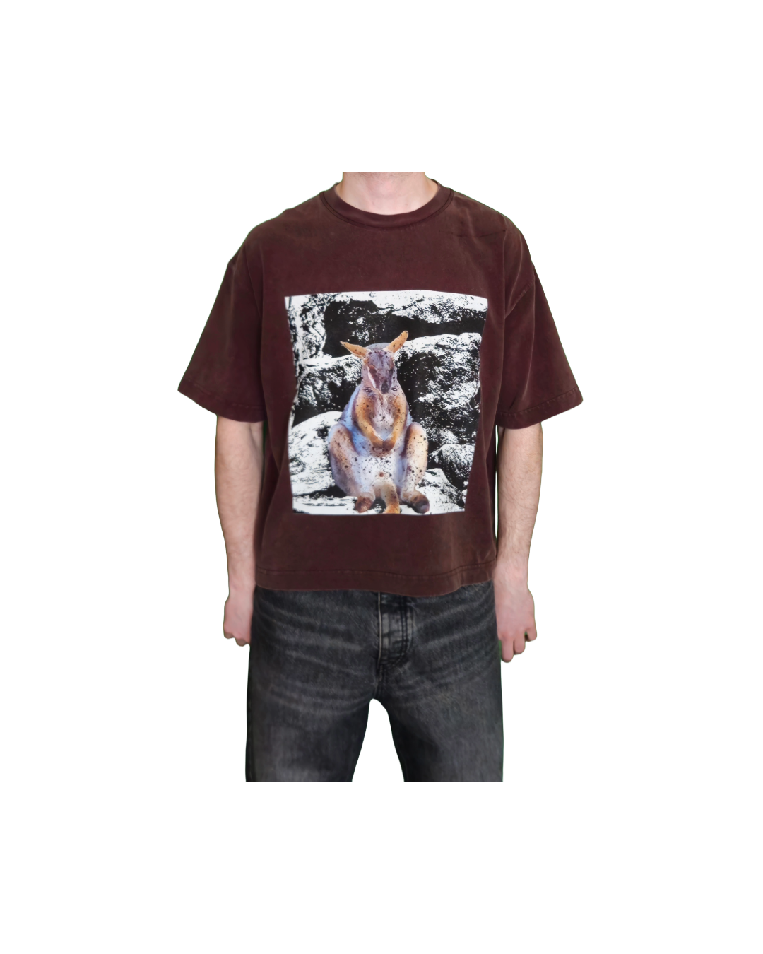 Remove background project-10.png