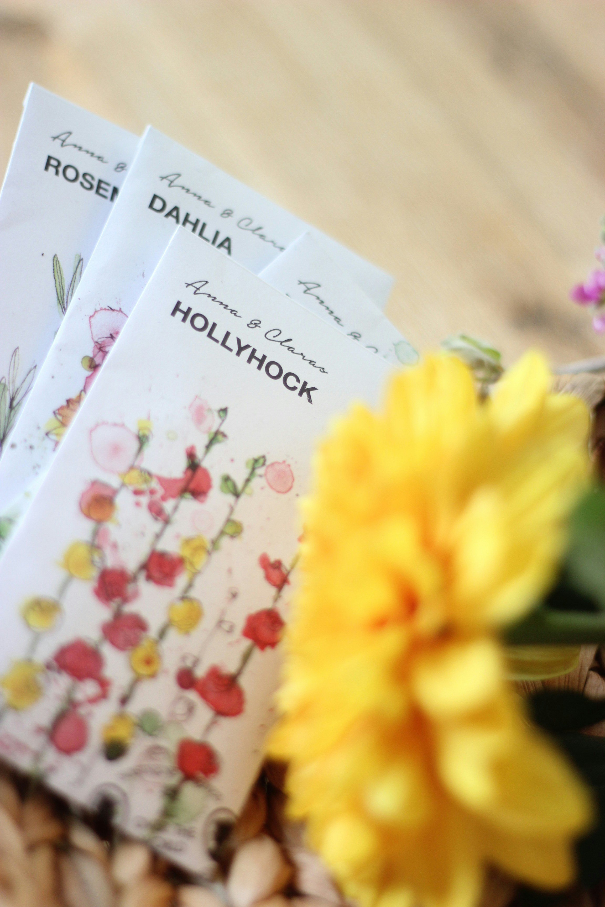 Packets of seeds with designs on the packets and a yellow flower