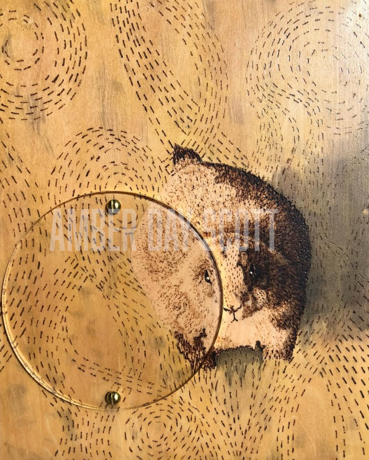 Amber Day Scott 2.png