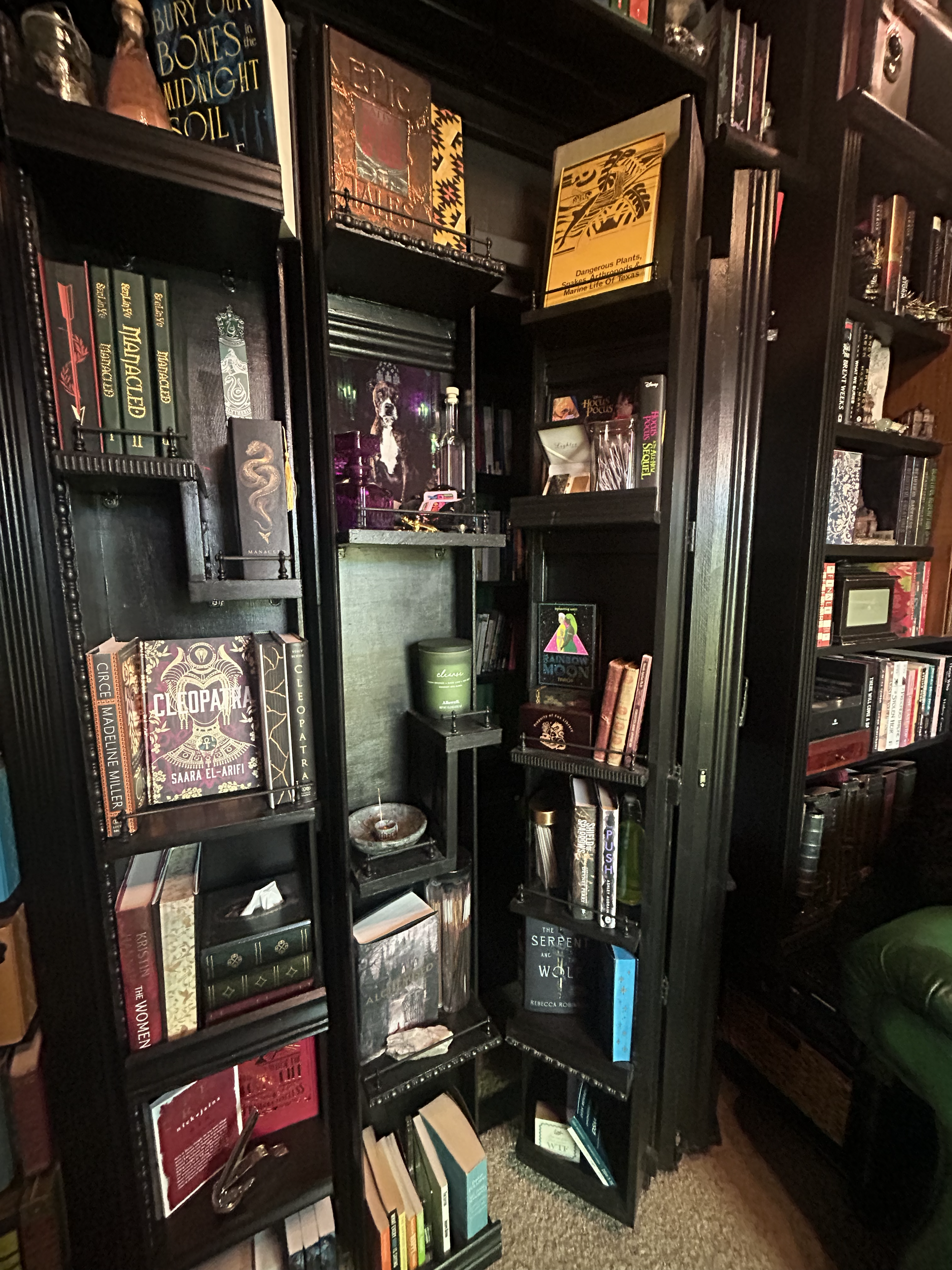Bookshelf Doors
(per price and availability of materials)

estimate for 1 standard doorway: $1200