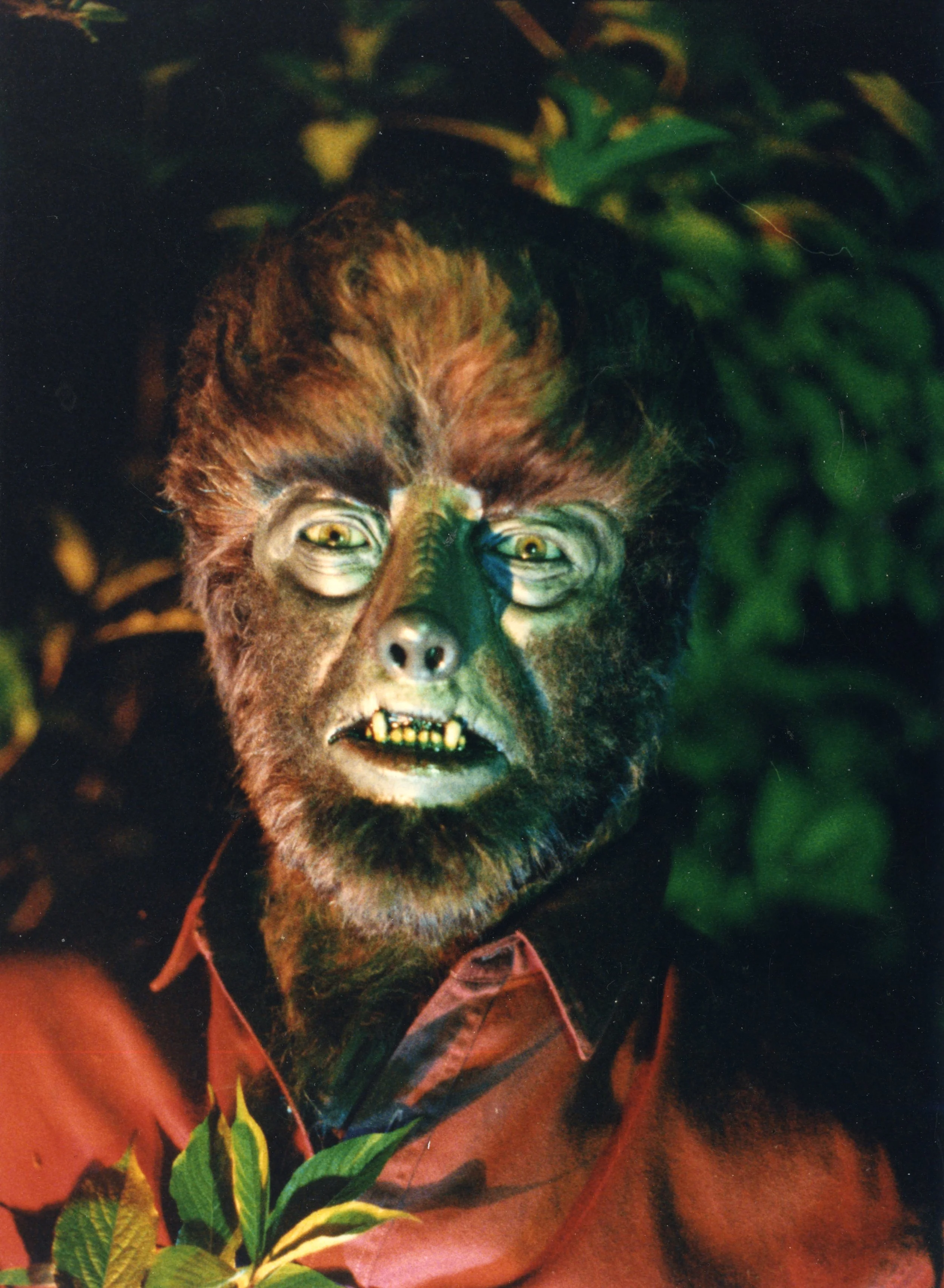 Wolfman Chaney Jr (1).jpg